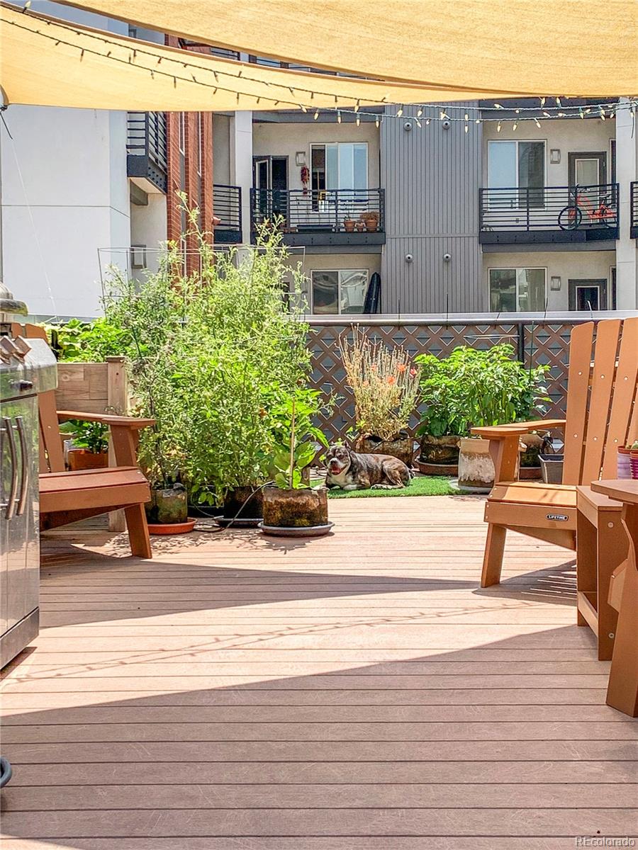 MLS Image #12 for 1479  27th street,denver, Colorado