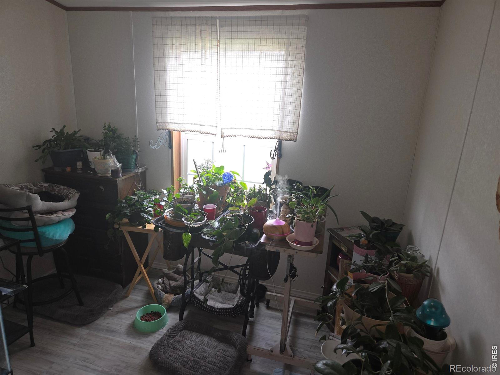 MLS Image #12 for 22852  washington avenue,orchard, Colorado