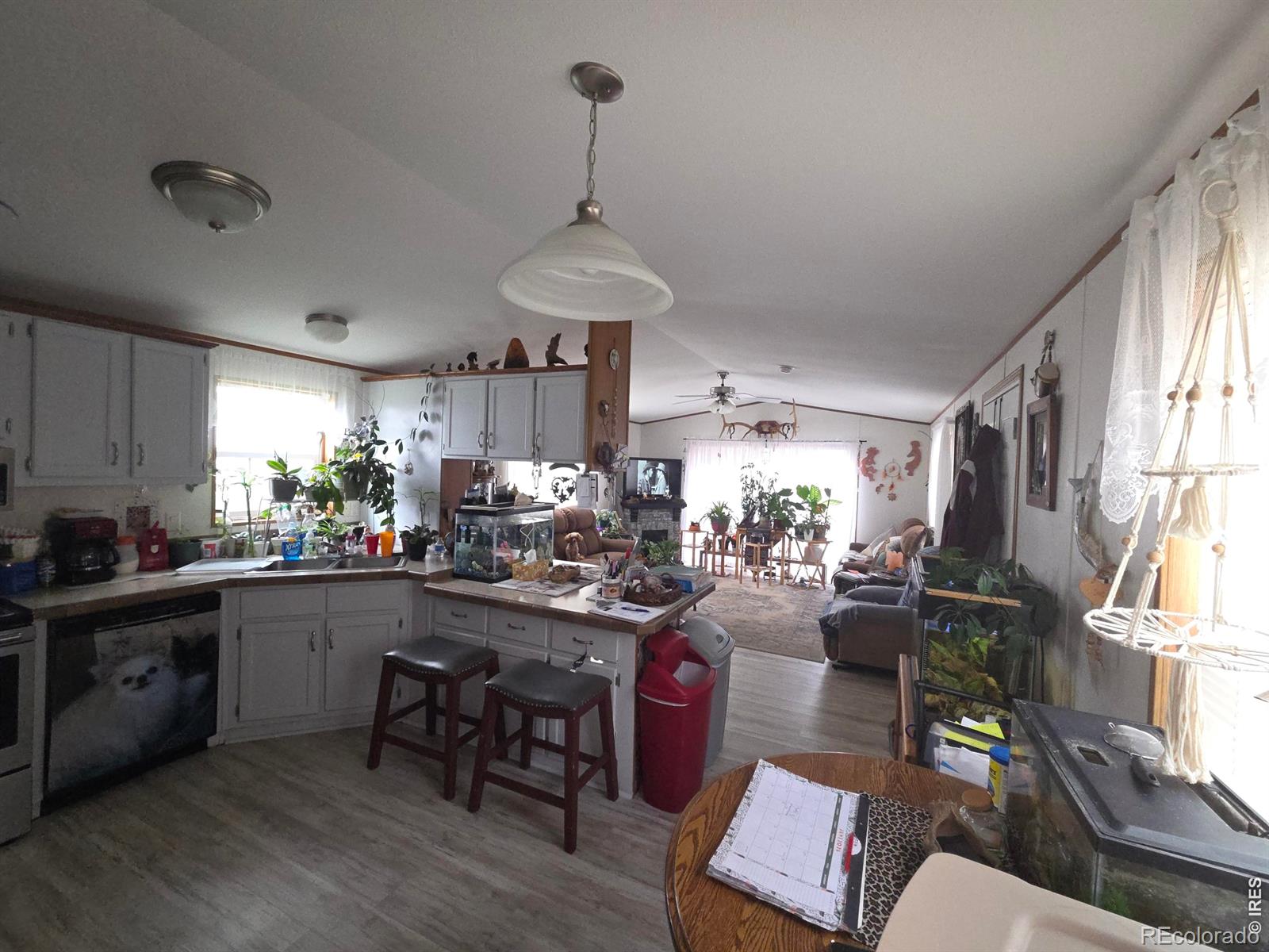 MLS Image #7 for 22852  washington avenue,orchard, Colorado