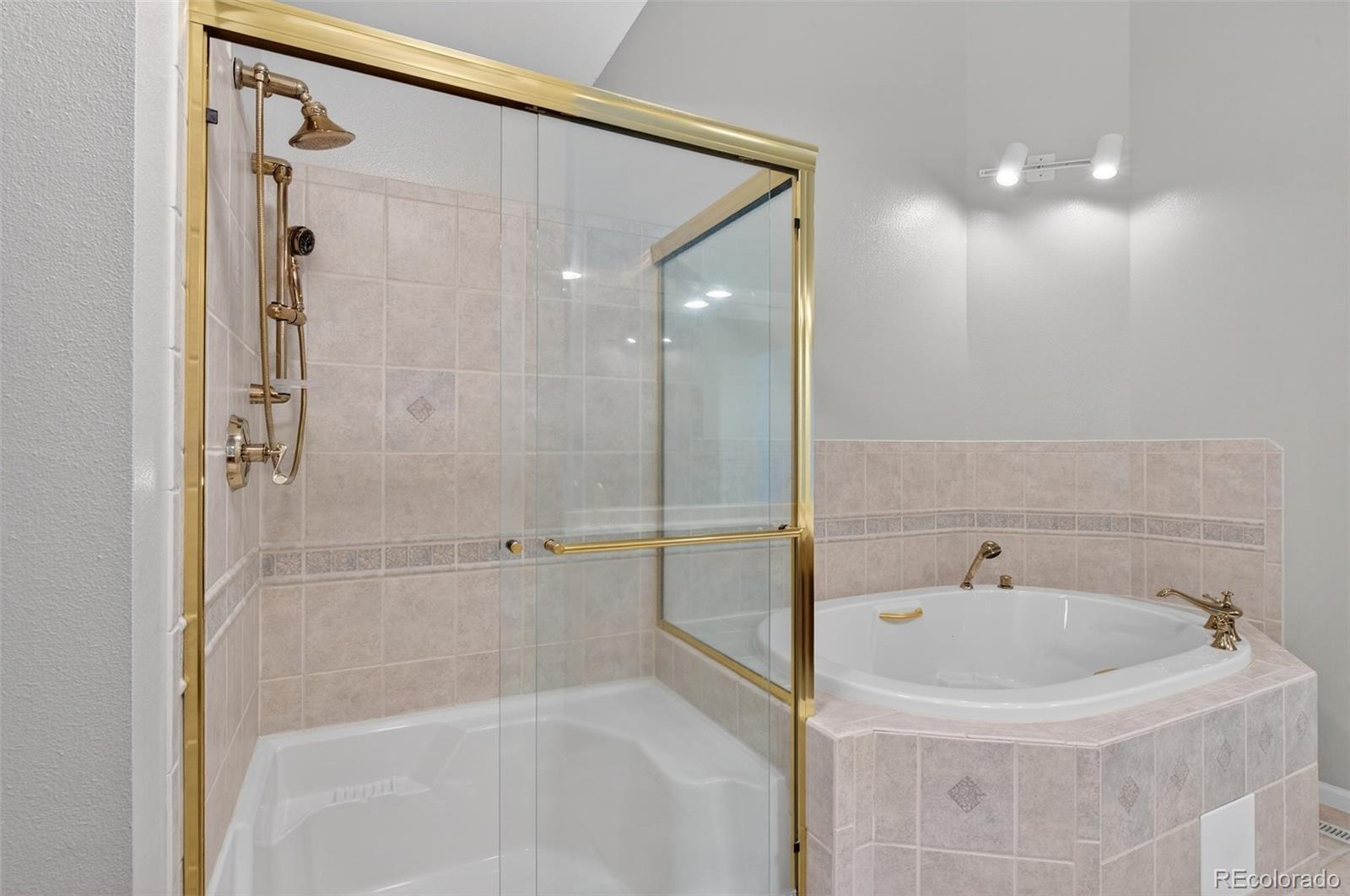 MLS Image #20 for 3  red cedar ,littleton, Colorado
