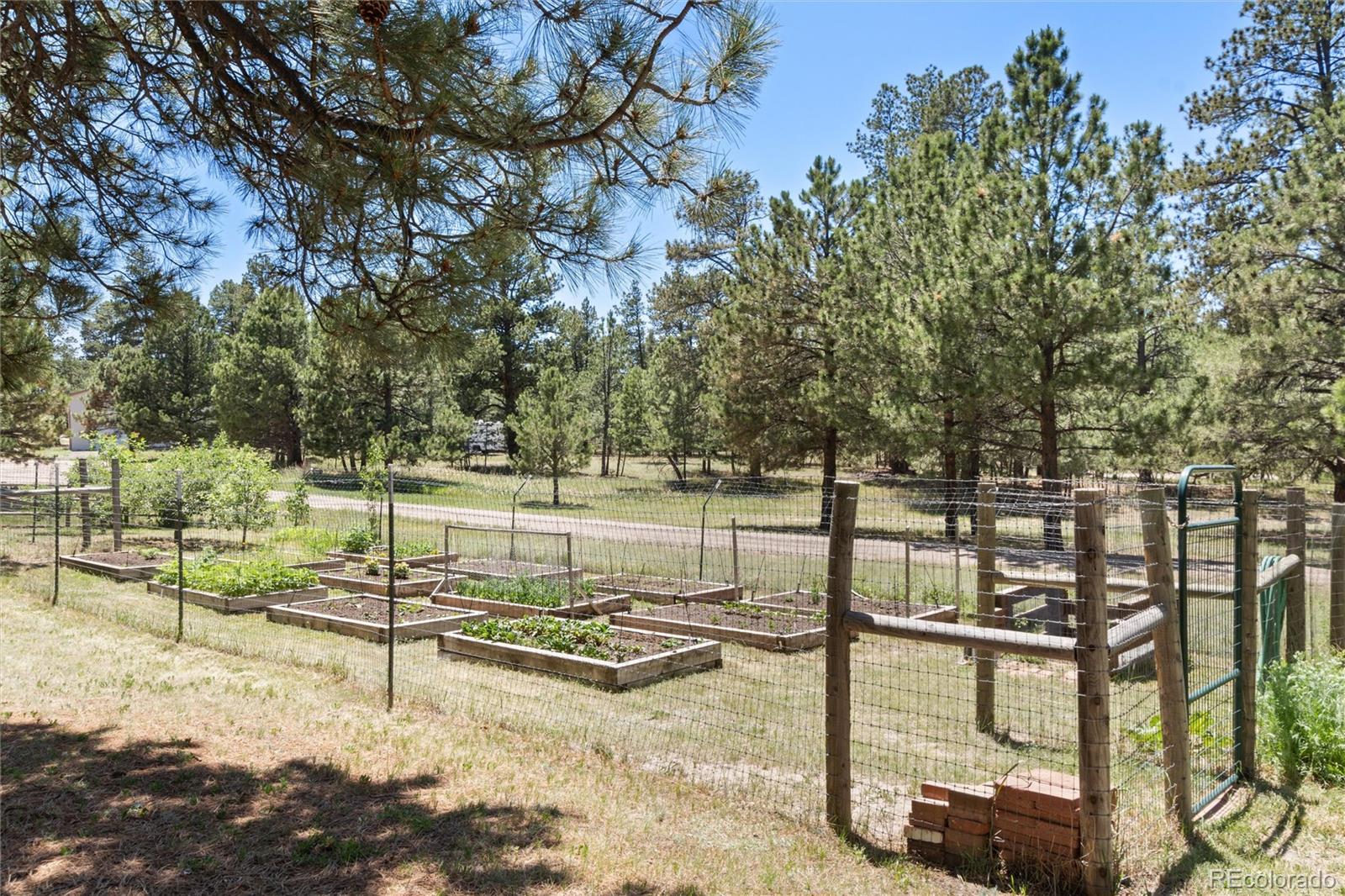 MLS Image #34 for 35925  whispering pine court,elizabeth, Colorado