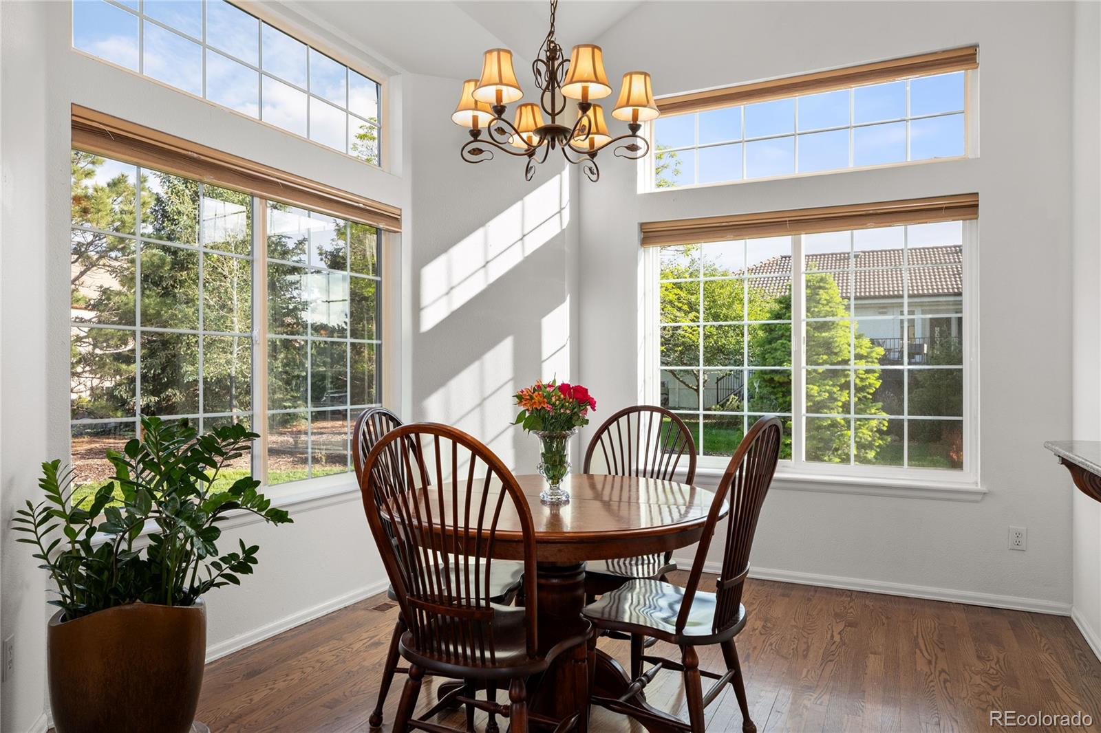 MLS Image #14 for 5575  butler court,colorado springs, Colorado