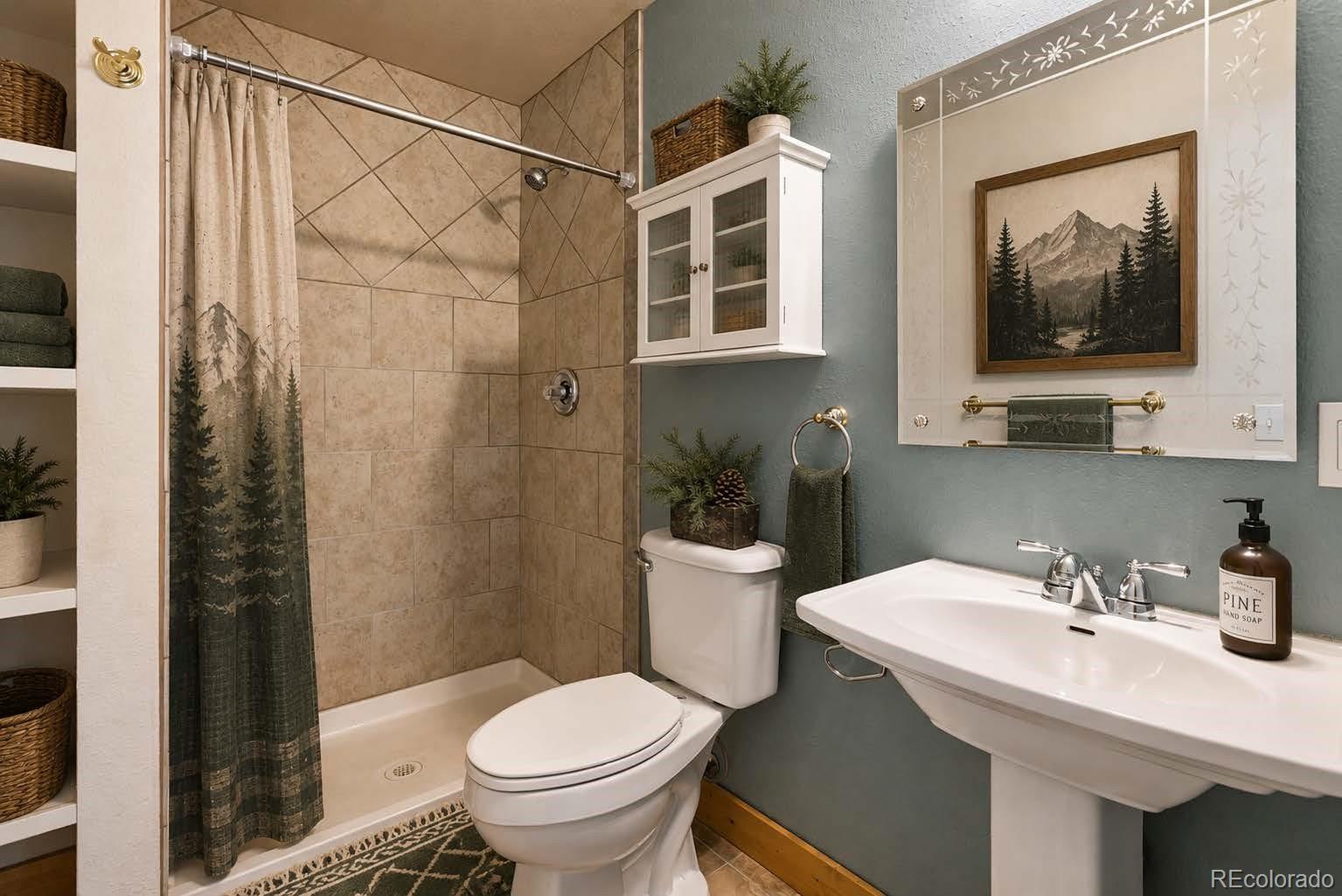 MLS Image #12 for 481  black bear trail,woodland park, Colorado