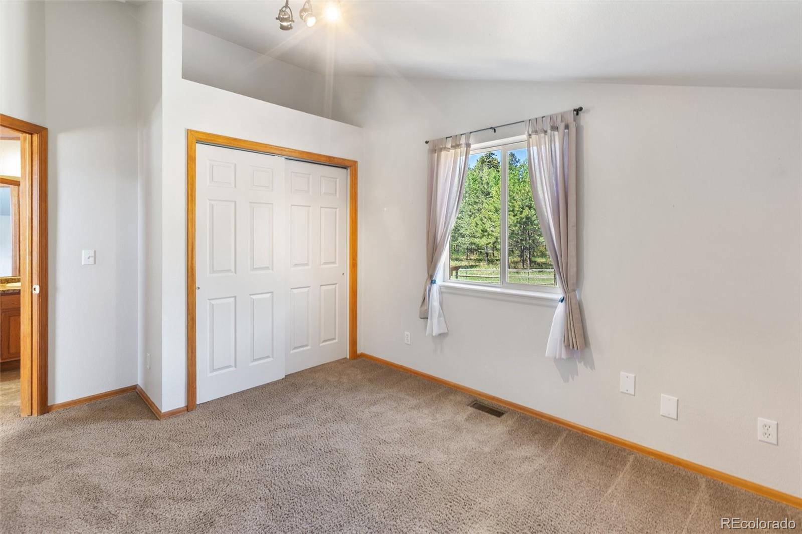 MLS Image #15 for 481  black bear trail,woodland park, Colorado