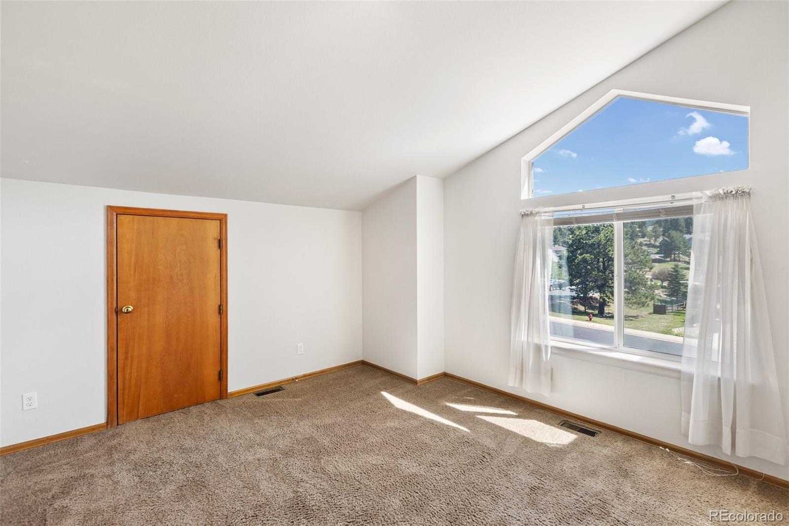 MLS Image #16 for 481  black bear trail,woodland park, Colorado