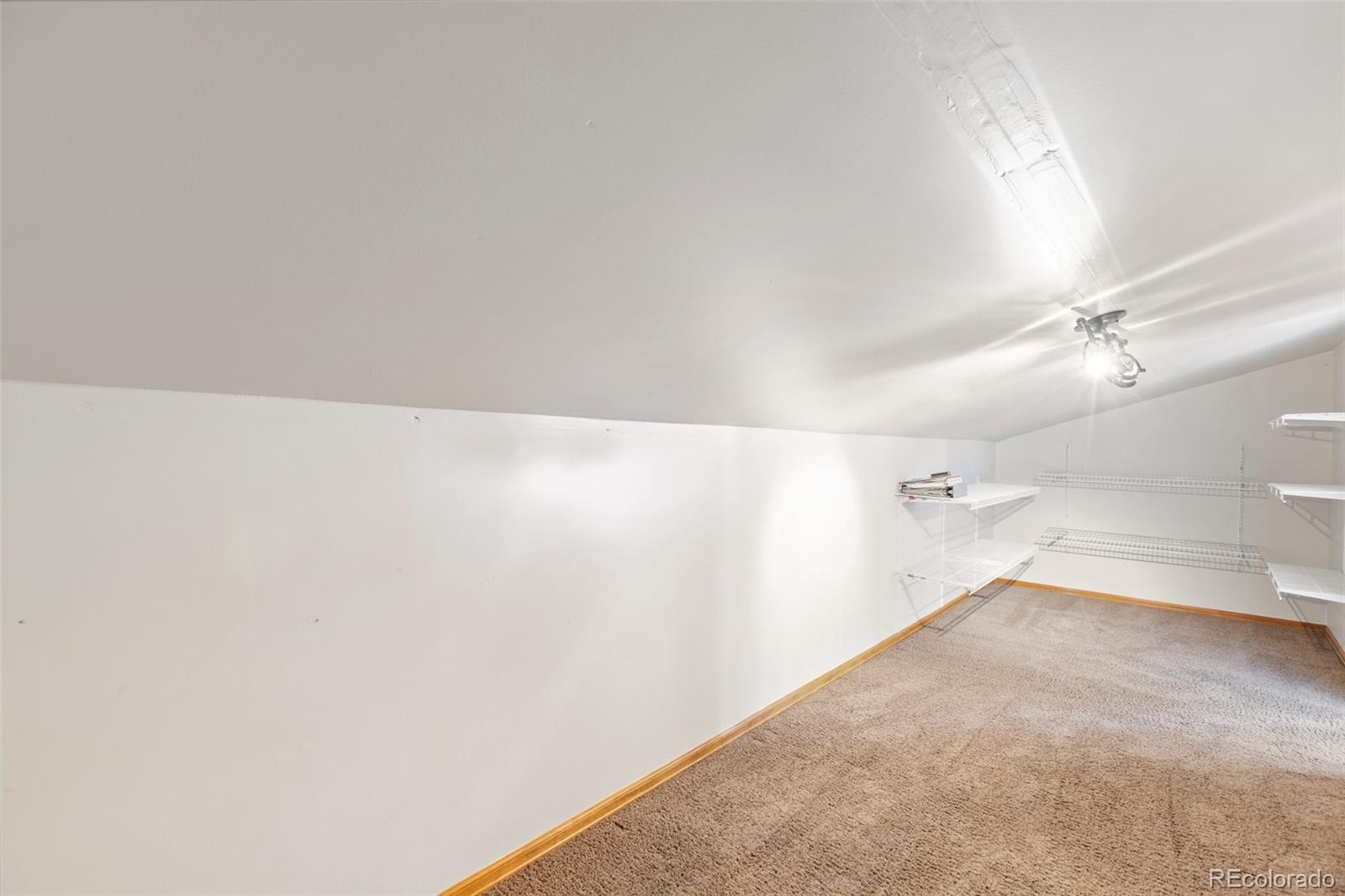 MLS Image #17 for 481  black bear trail,woodland park, Colorado