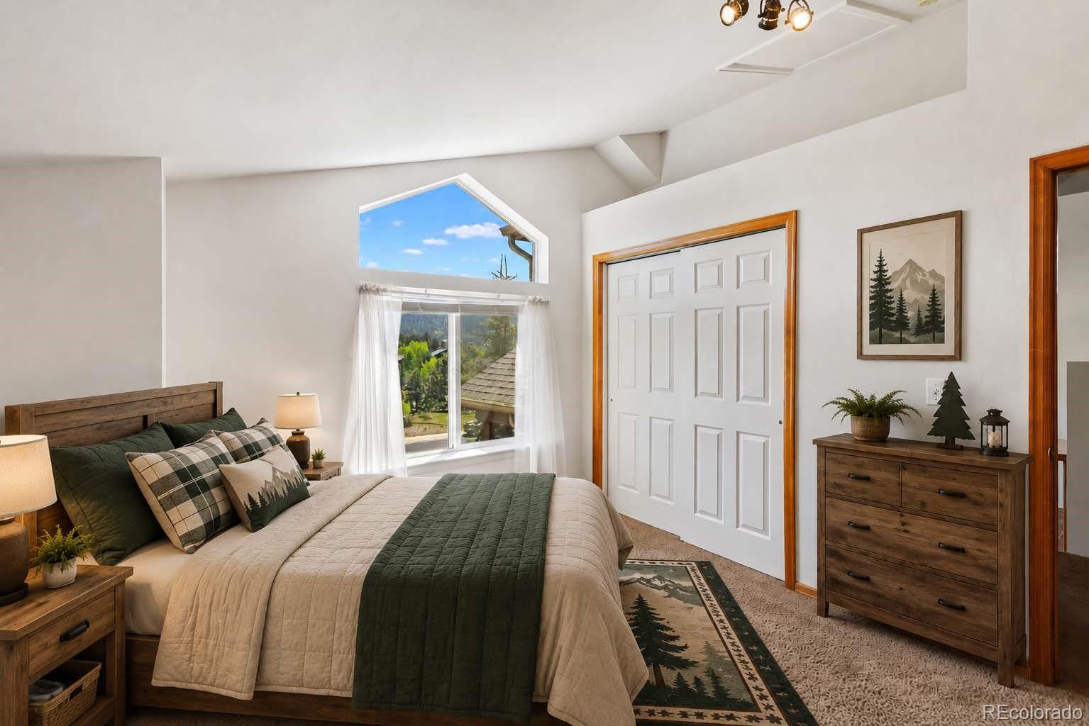 MLS Image #18 for 481  black bear trail,woodland park, Colorado