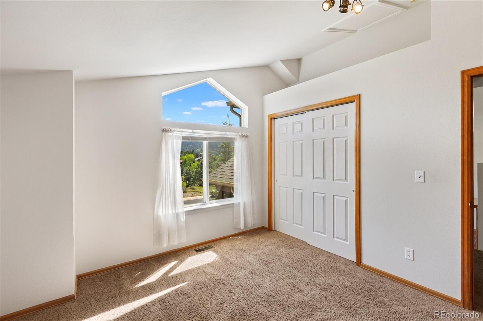 MLS Image #19 for 481  black bear trail,woodland park, Colorado