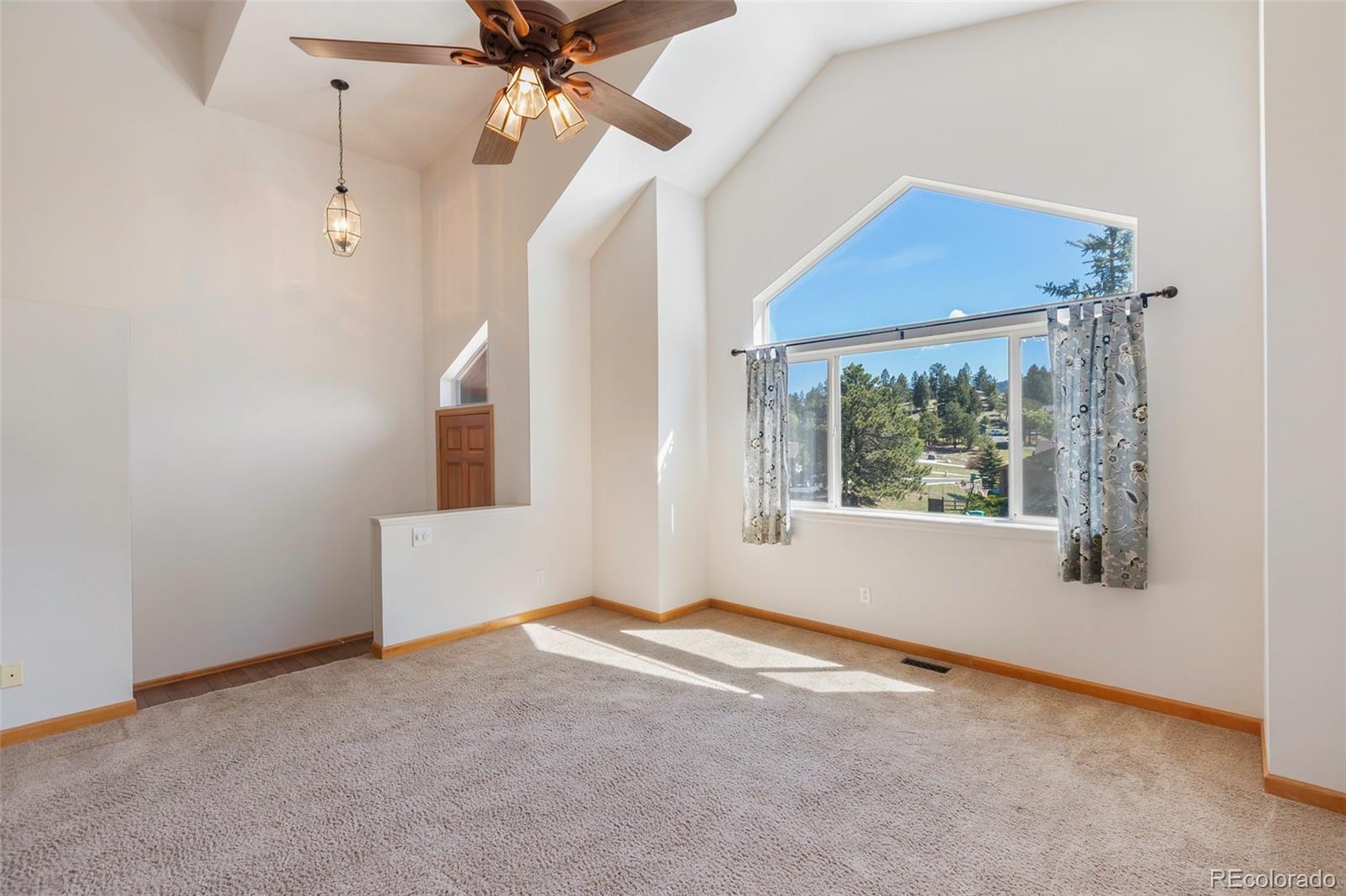 MLS Image #4 for 481  black bear trail,woodland park, Colorado