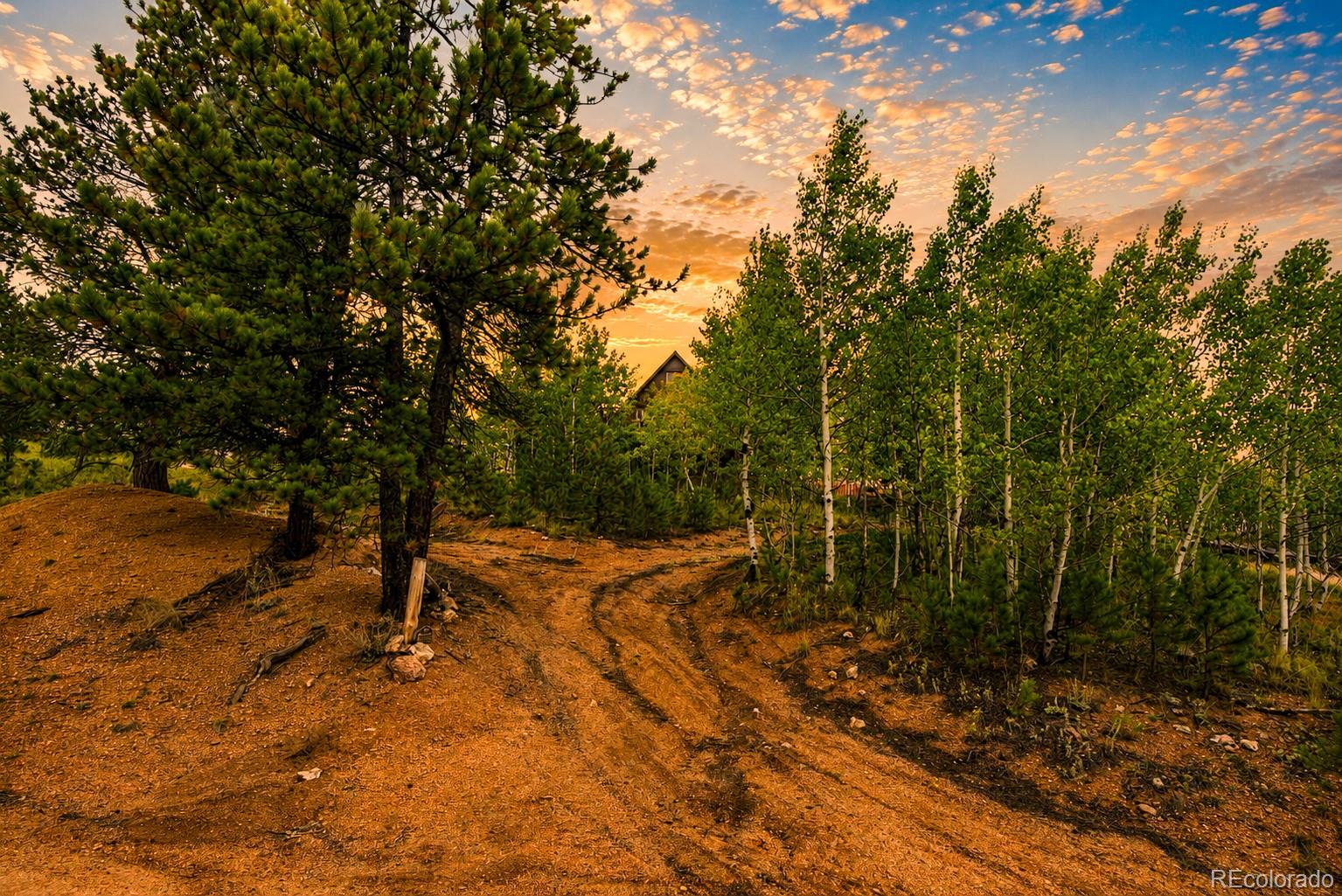 MLS Image #10 for 229  mcdougal road,bailey, Colorado