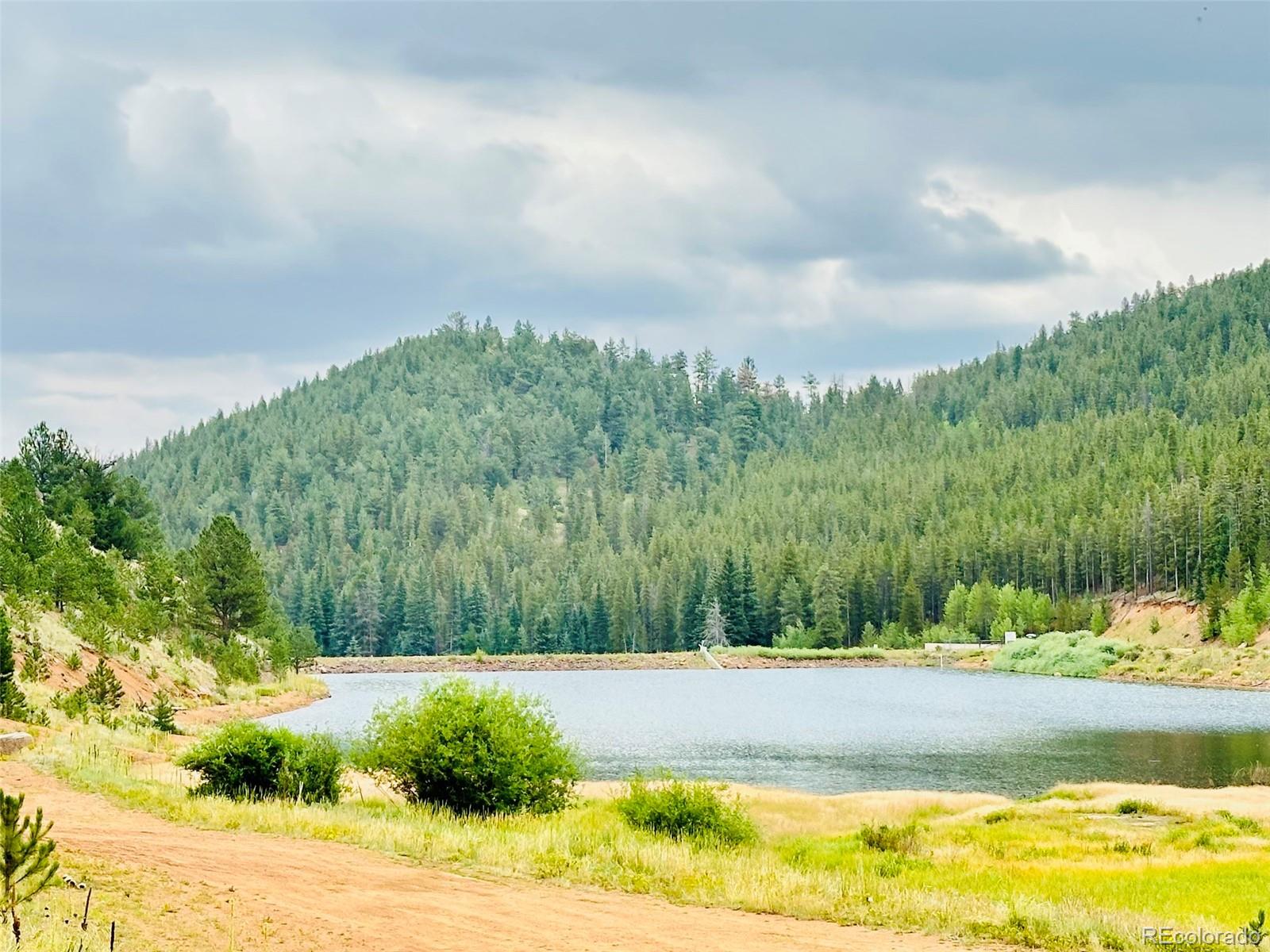 MLS Image #23 for 229  mcdougal road,bailey, Colorado