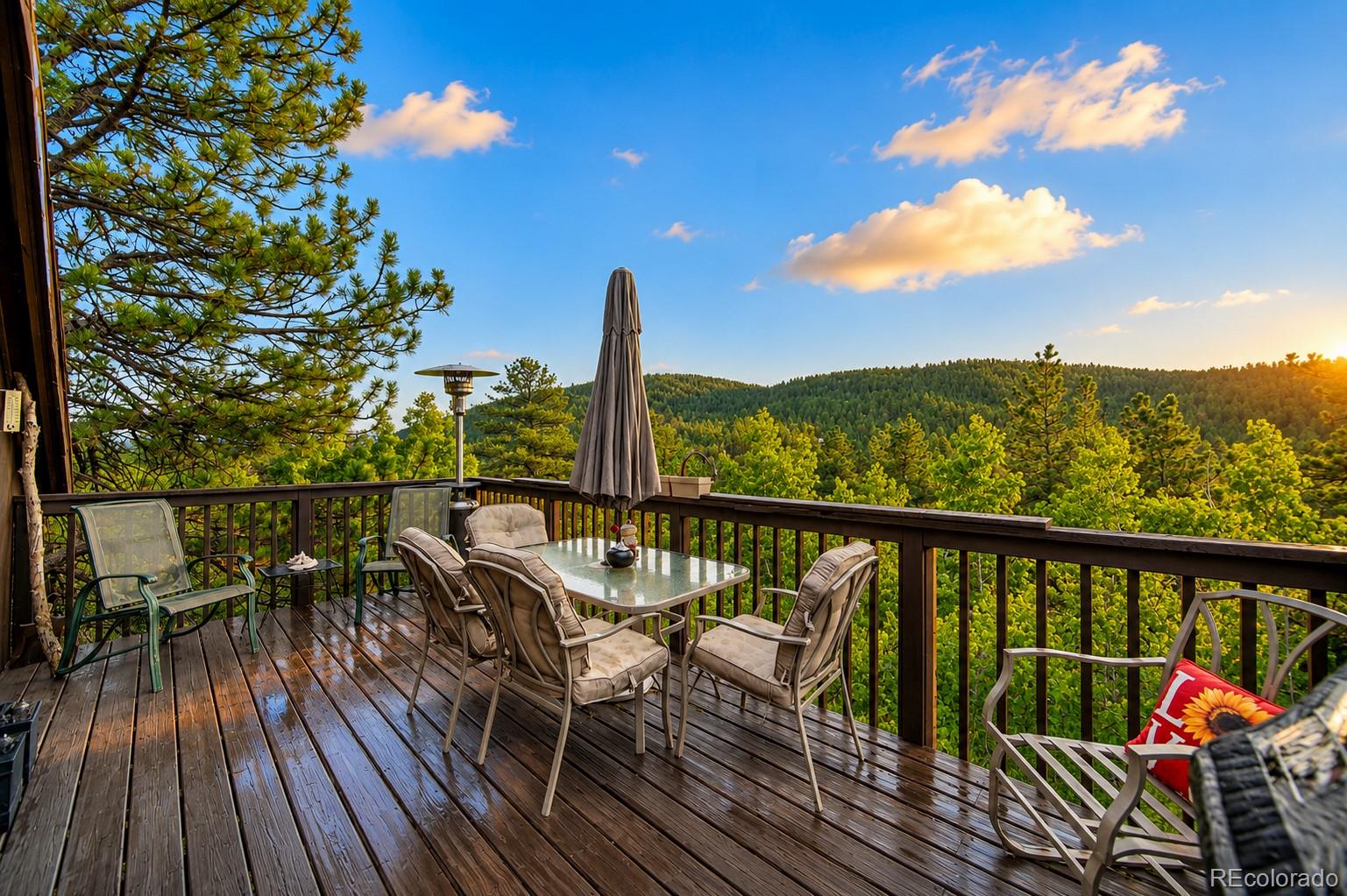 MLS Image #3 for 229  mcdougal road,bailey, Colorado