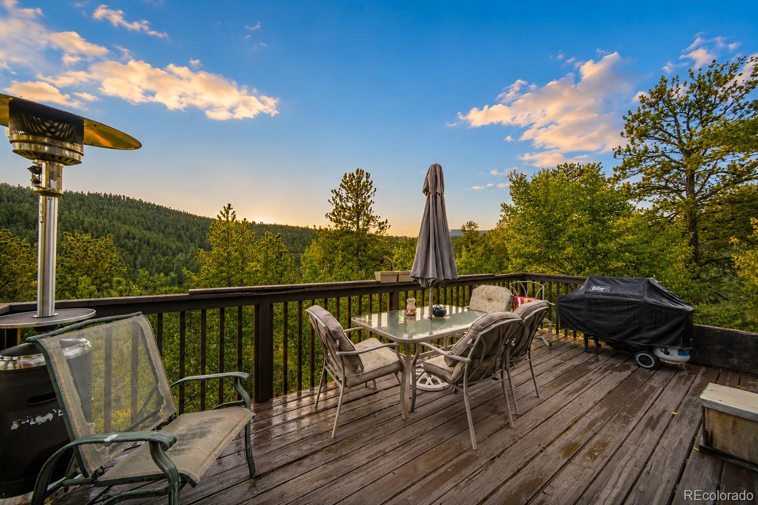 MLS Image #4 for 229  mcdougal road,bailey, Colorado
