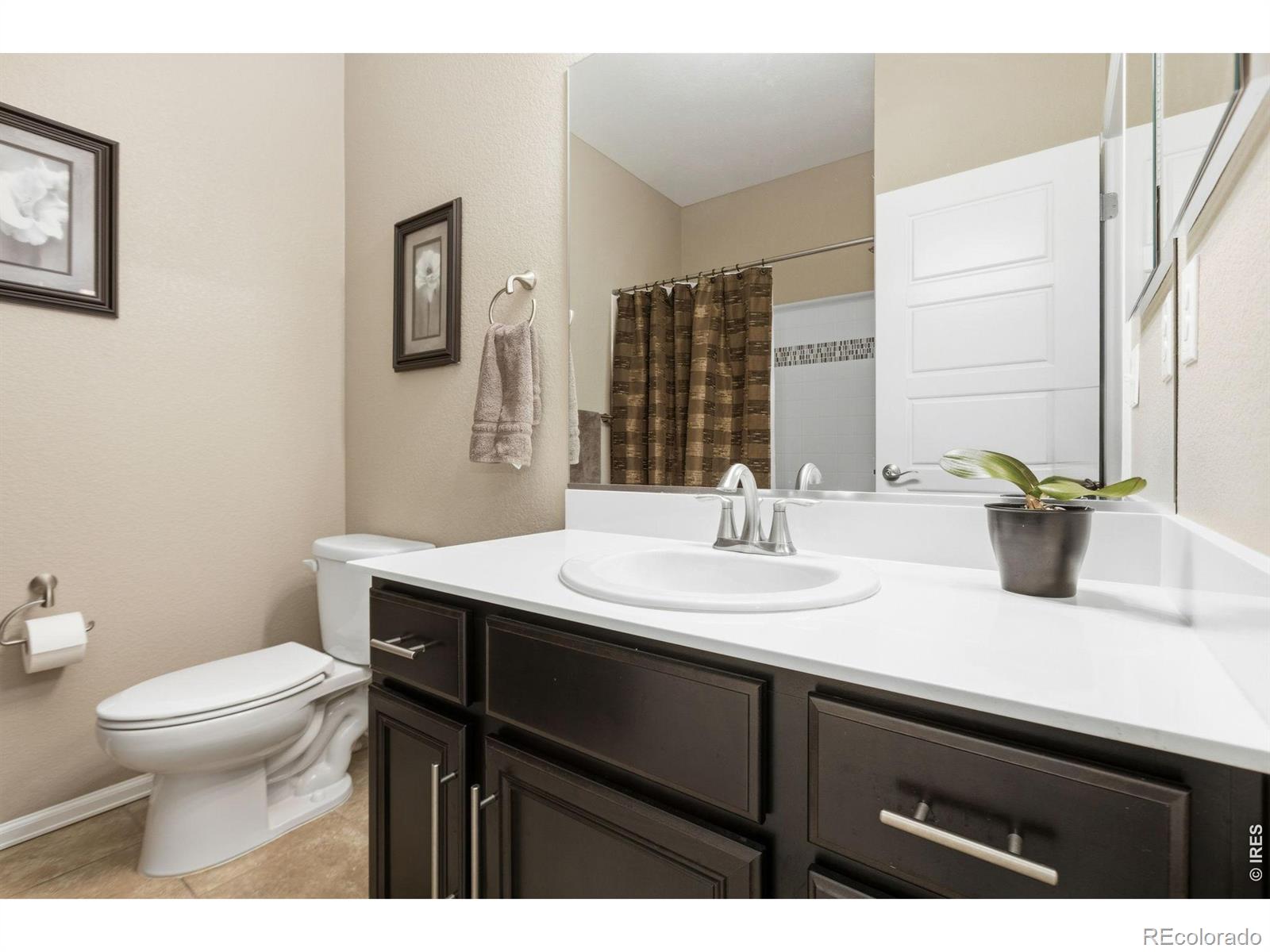 MLS Image #13 for 6151  washakie court,timnath, Colorado