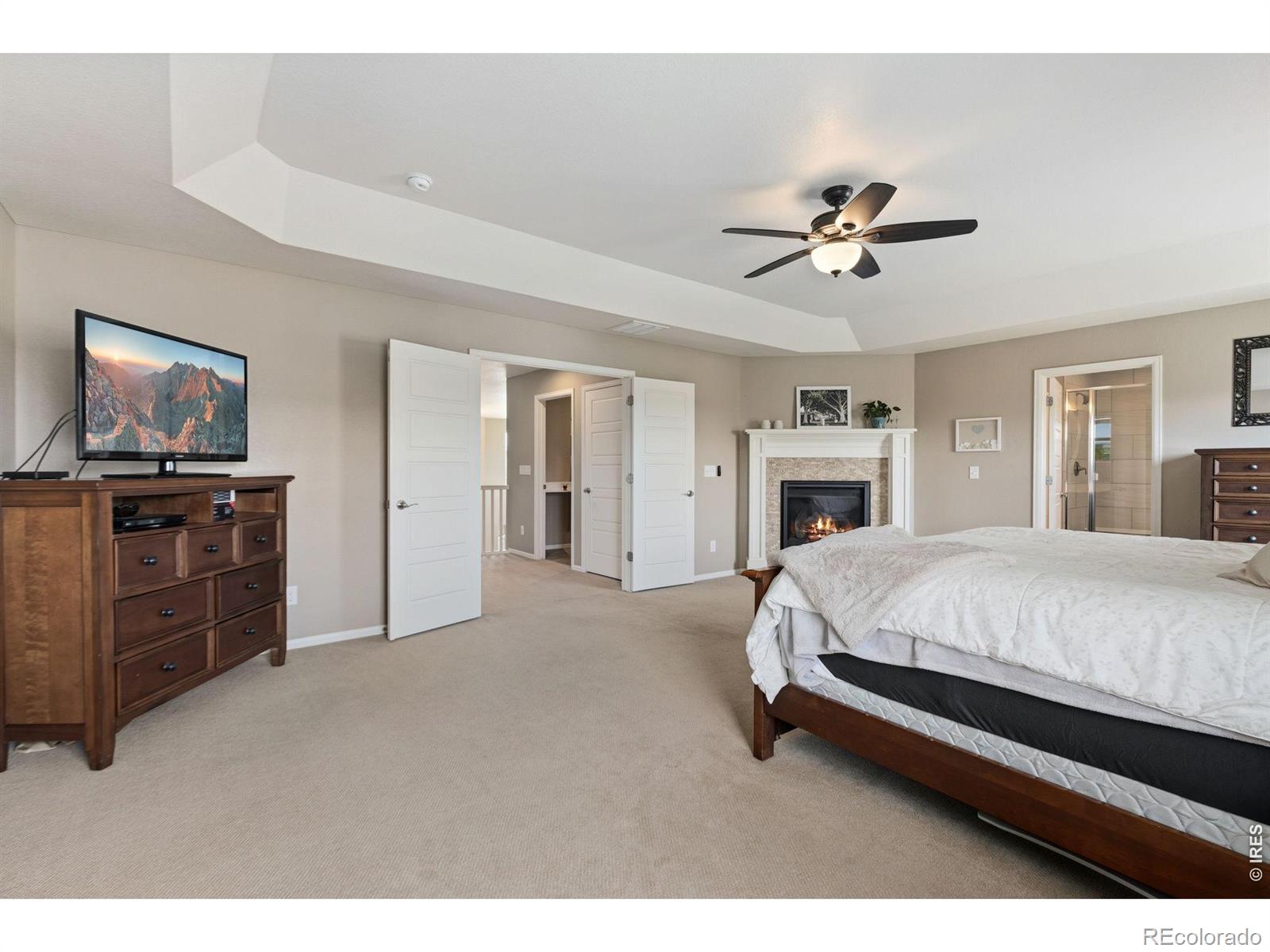 MLS Image #17 for 6151  washakie court,timnath, Colorado