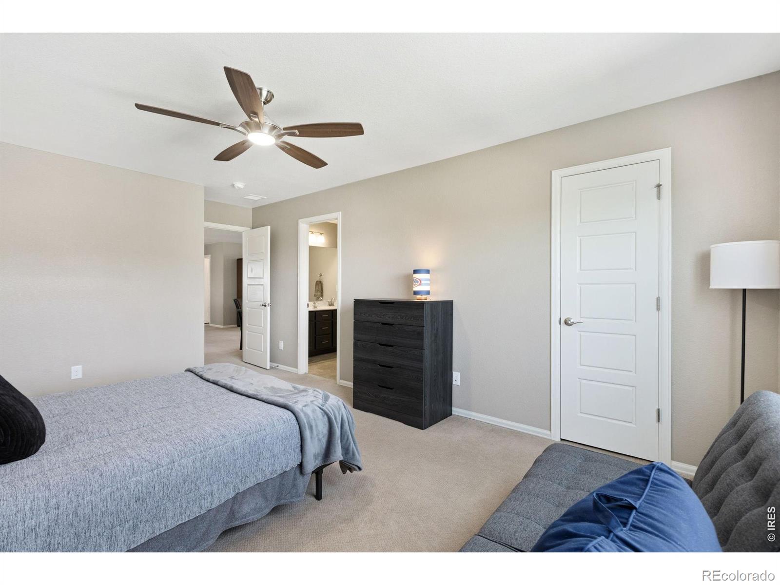 MLS Image #20 for 6151  washakie court,timnath, Colorado