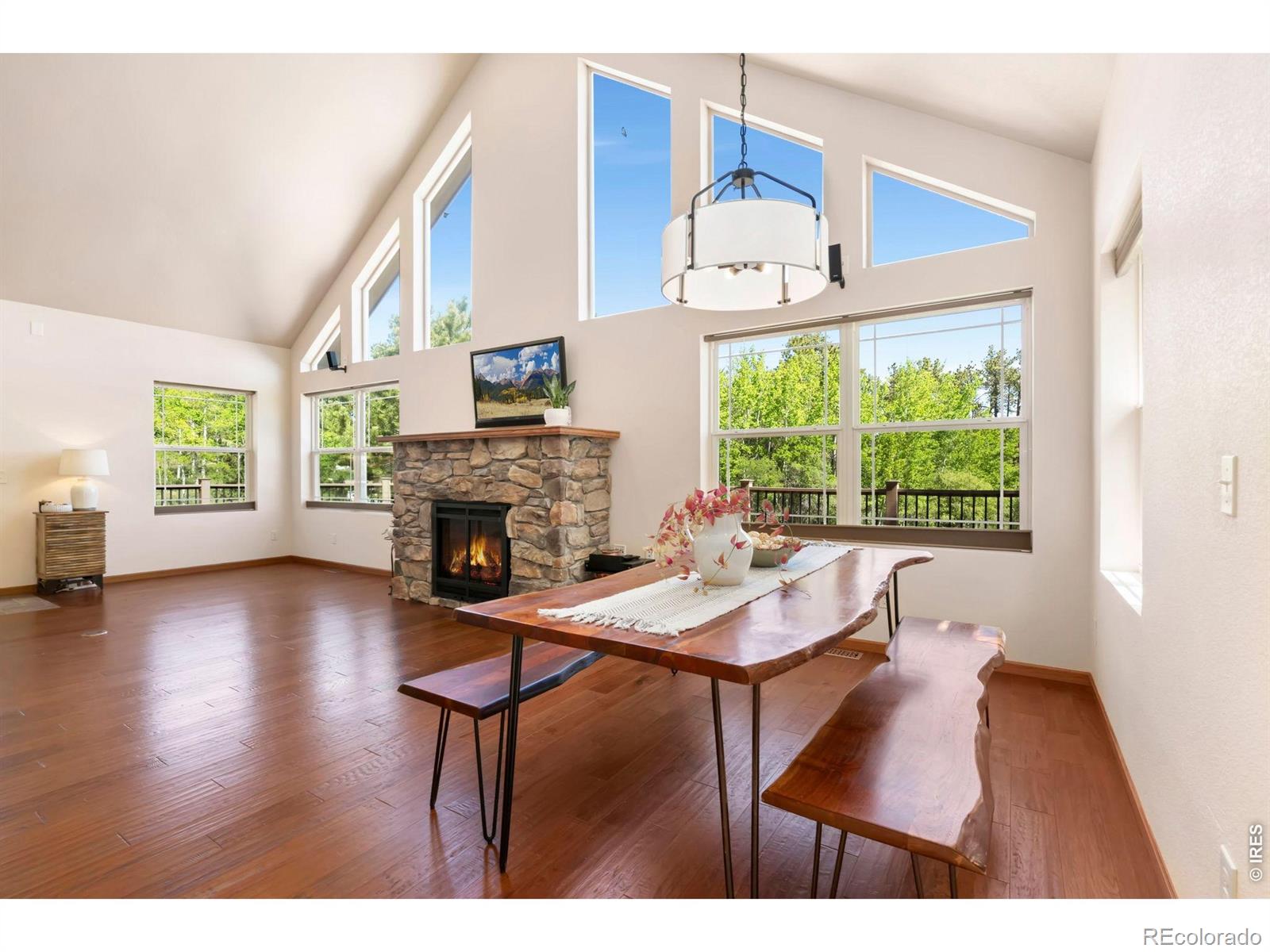 MLS Image #14 for 560  pipsissewa lane,red feather lakes, Colorado