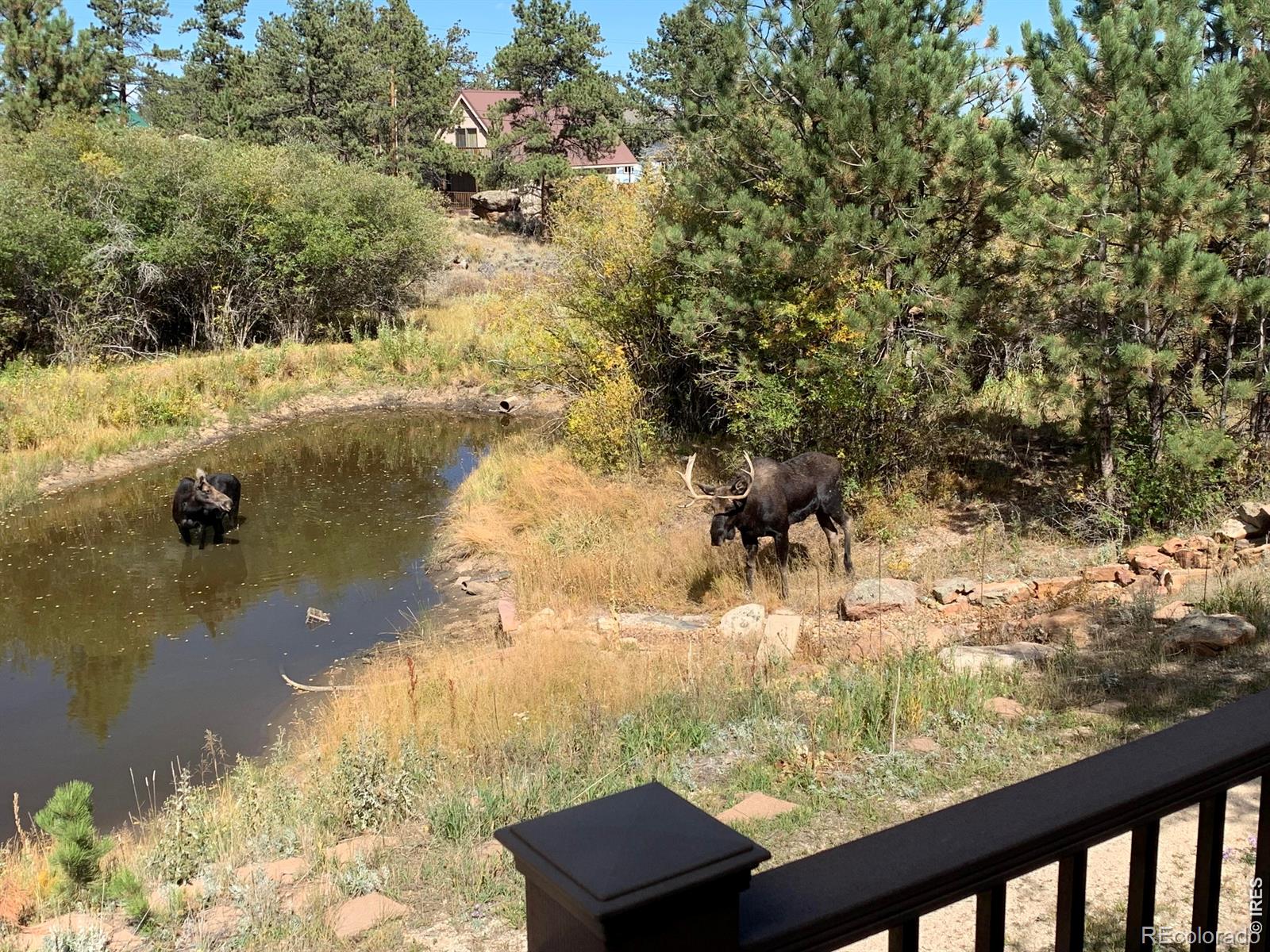 MLS Image #29 for 560  pipsissewa lane,red feather lakes, Colorado