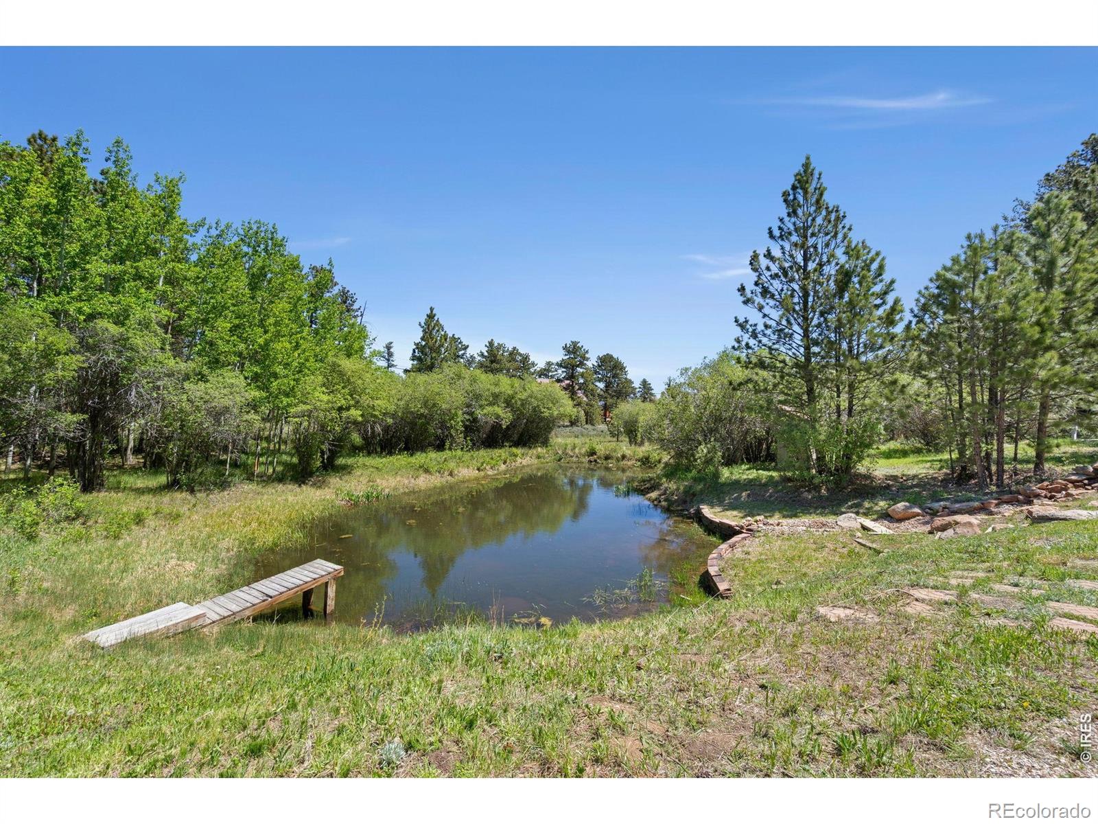 MLS Image #3 for 560  pipsissewa lane,red feather lakes, Colorado