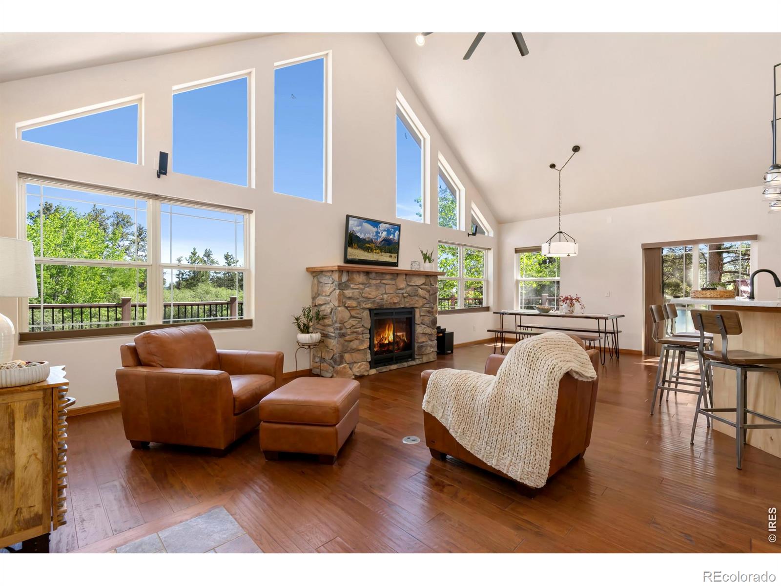 MLS Image #6 for 560  pipsissewa lane,red feather lakes, Colorado