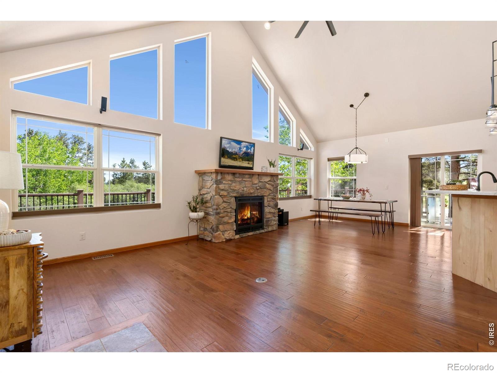 MLS Image #7 for 560  pipsissewa lane,red feather lakes, Colorado