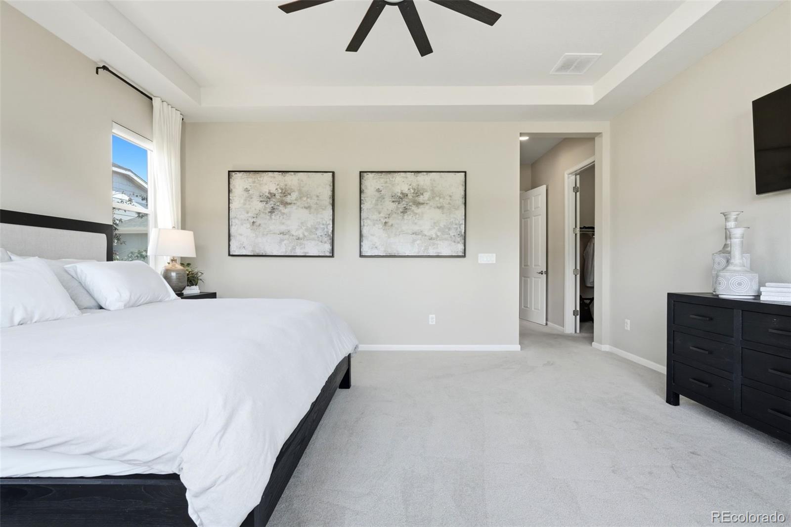 MLS Image #29 for 6883  mentha drive,castle rock, Colorado