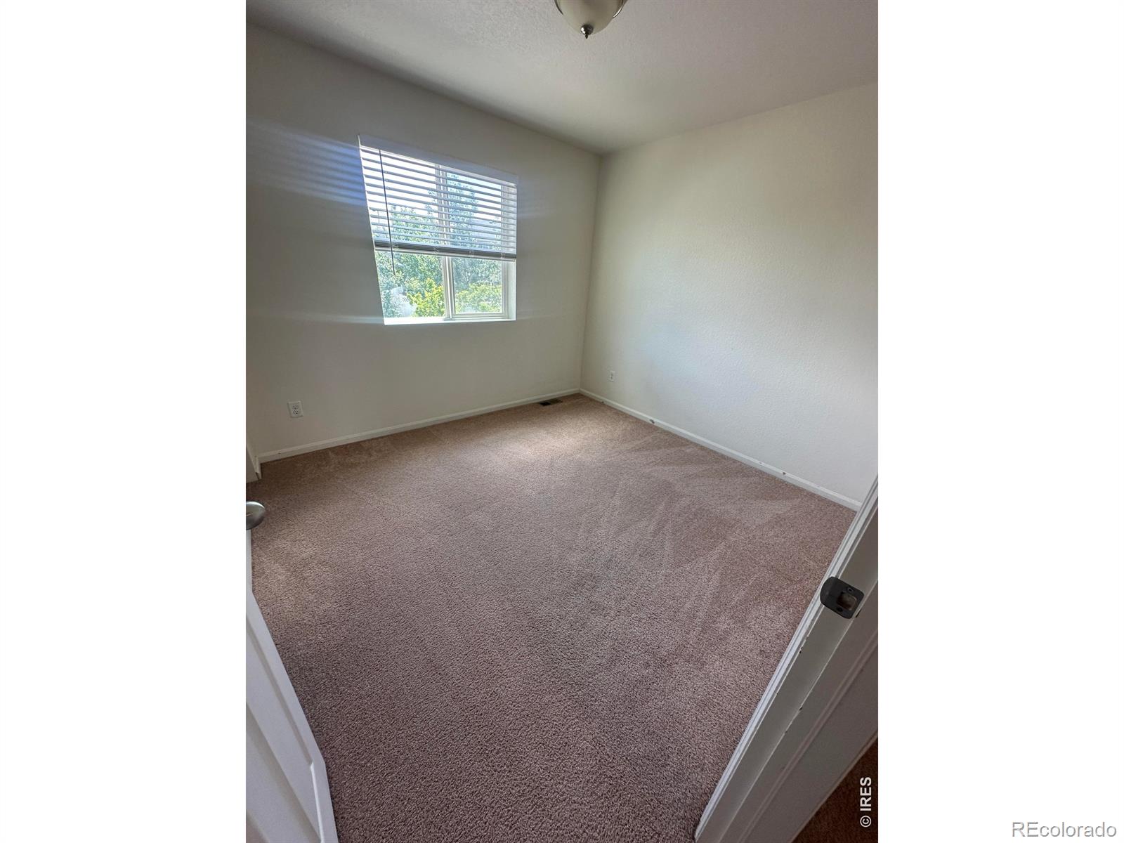 MLS Image #16 for 4698  andes way,denver, Colorado