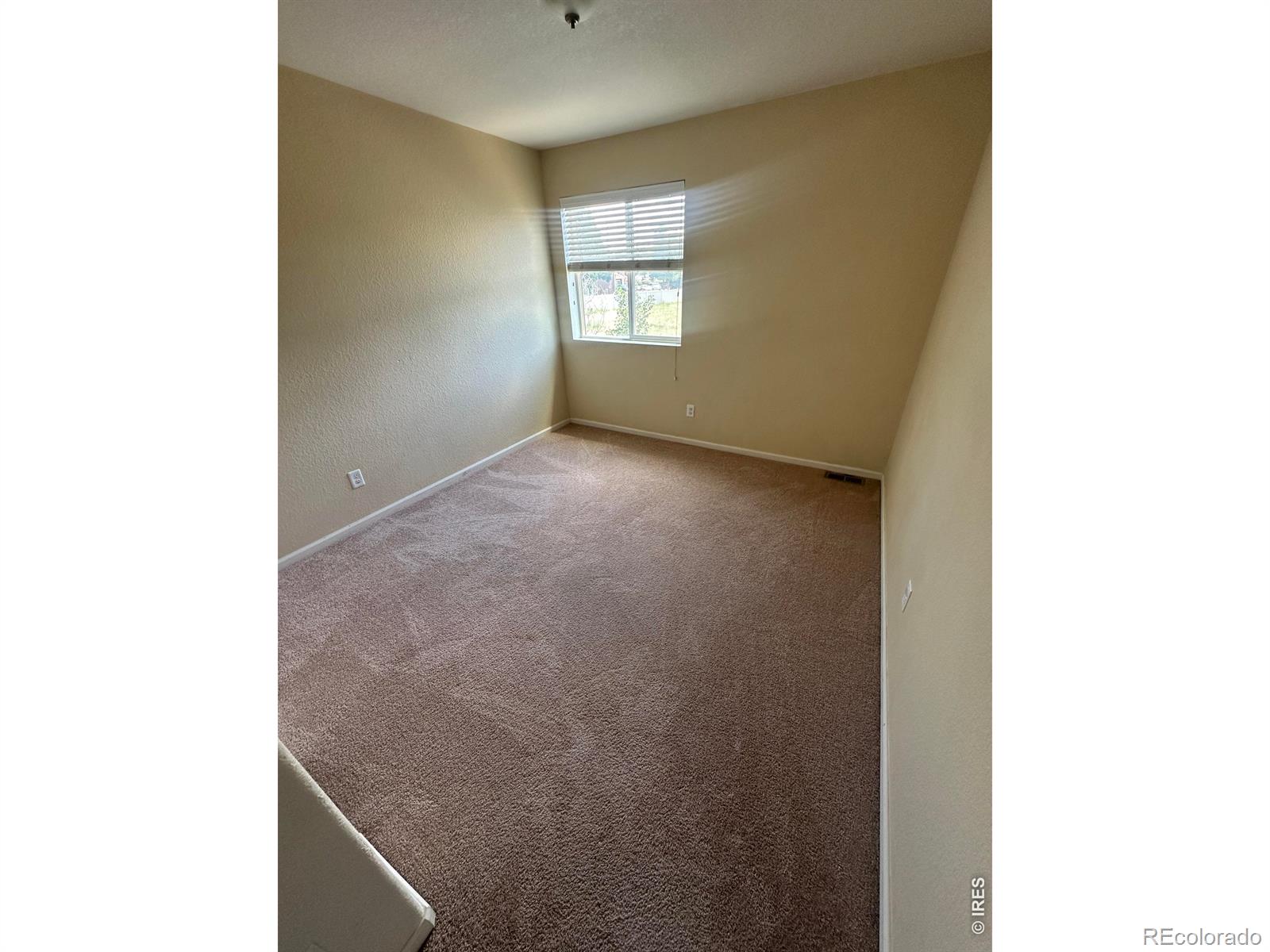 MLS Image #18 for 4698  andes way,denver, Colorado