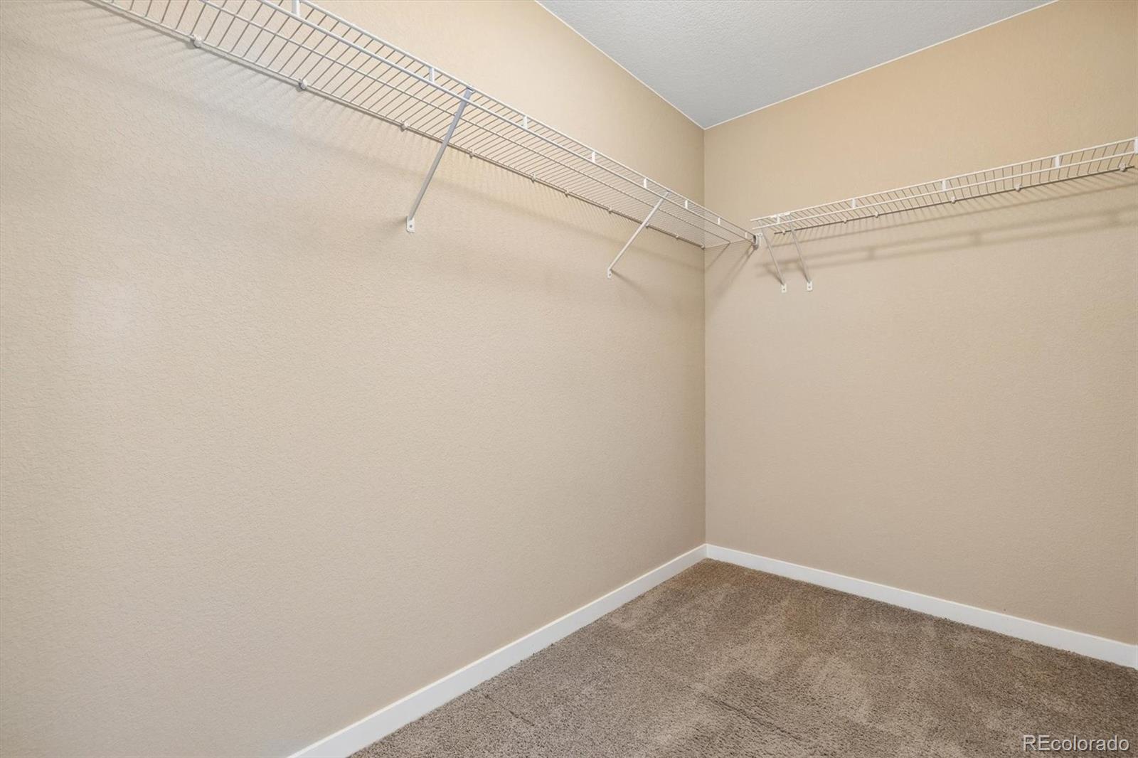 MLS Image #16 for 10055  hough point,parker, Colorado