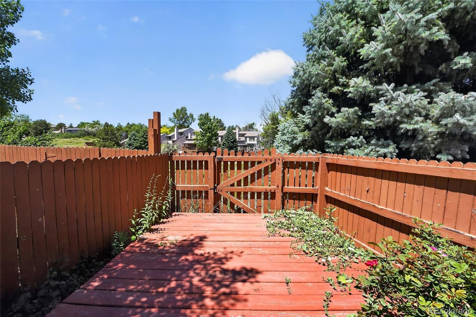 MLS Image #5 for 69  ward court,lakewood, Colorado