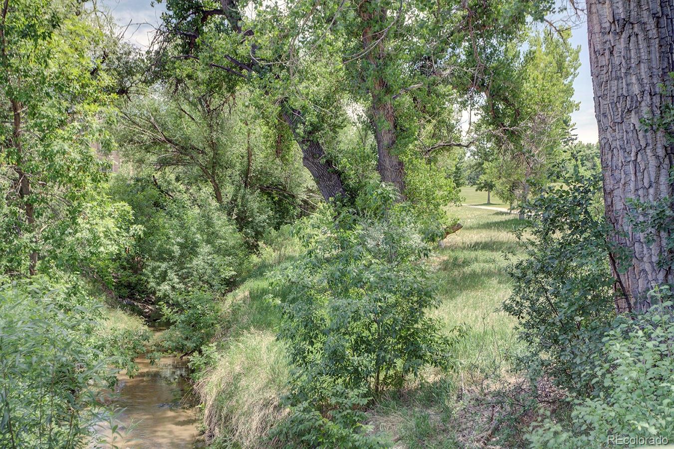 MLS Image #23 for 6035 s milwaukee way,centennial, Colorado