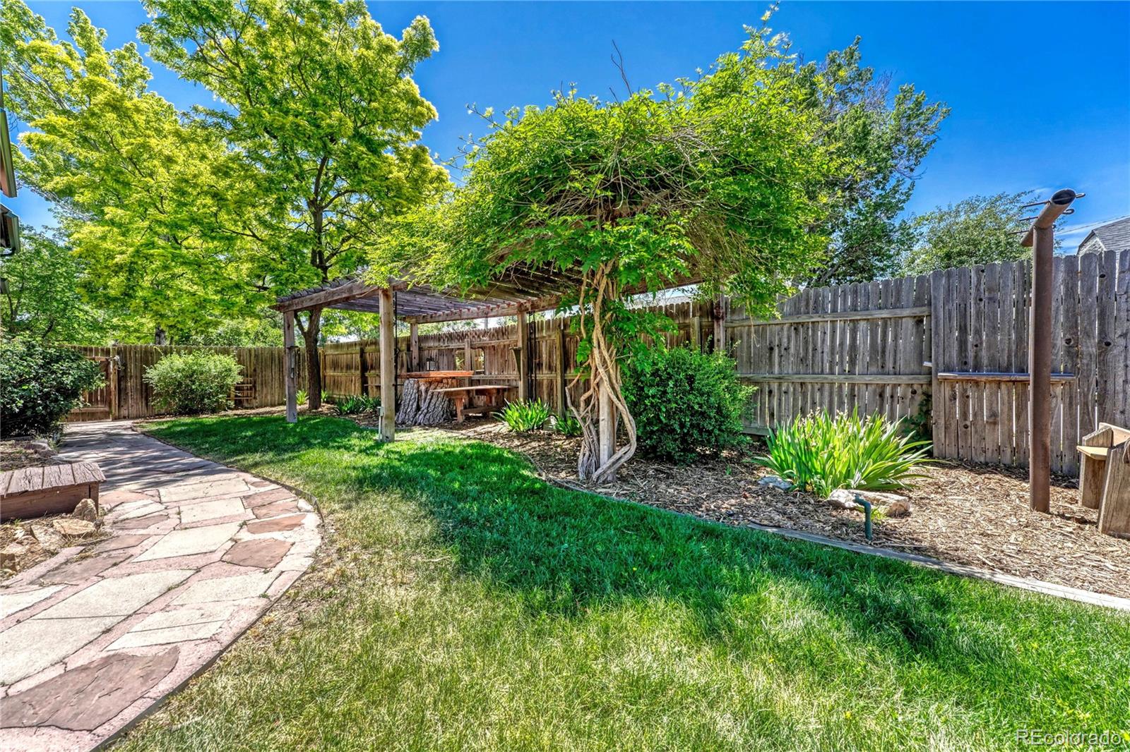MLS Image #35 for 1557  dallas street,aurora, Colorado