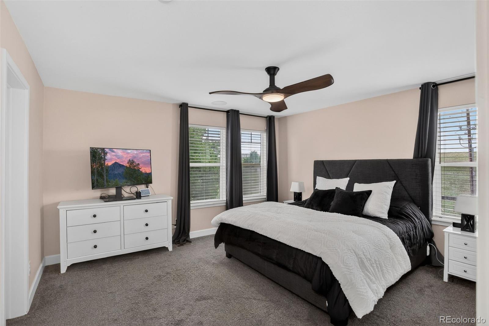 MLS Image #16 for 10312  tall oaks circle,parker, Colorado