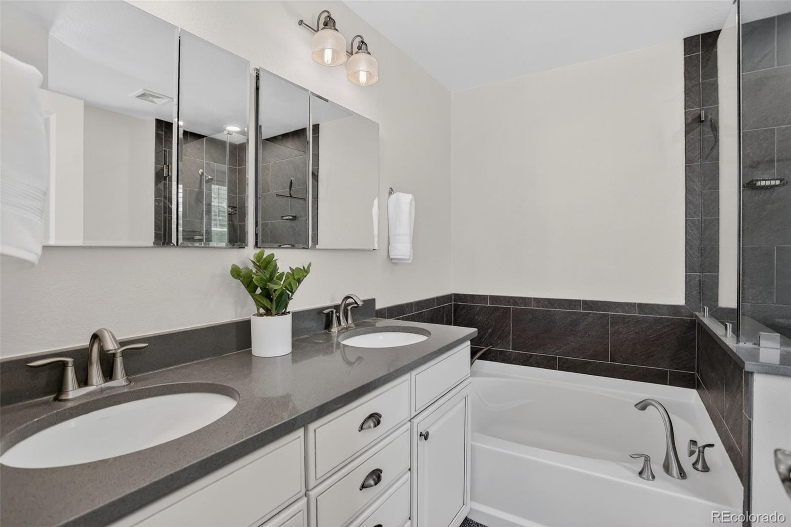 MLS Image #20 for 10312  tall oaks circle,parker, Colorado