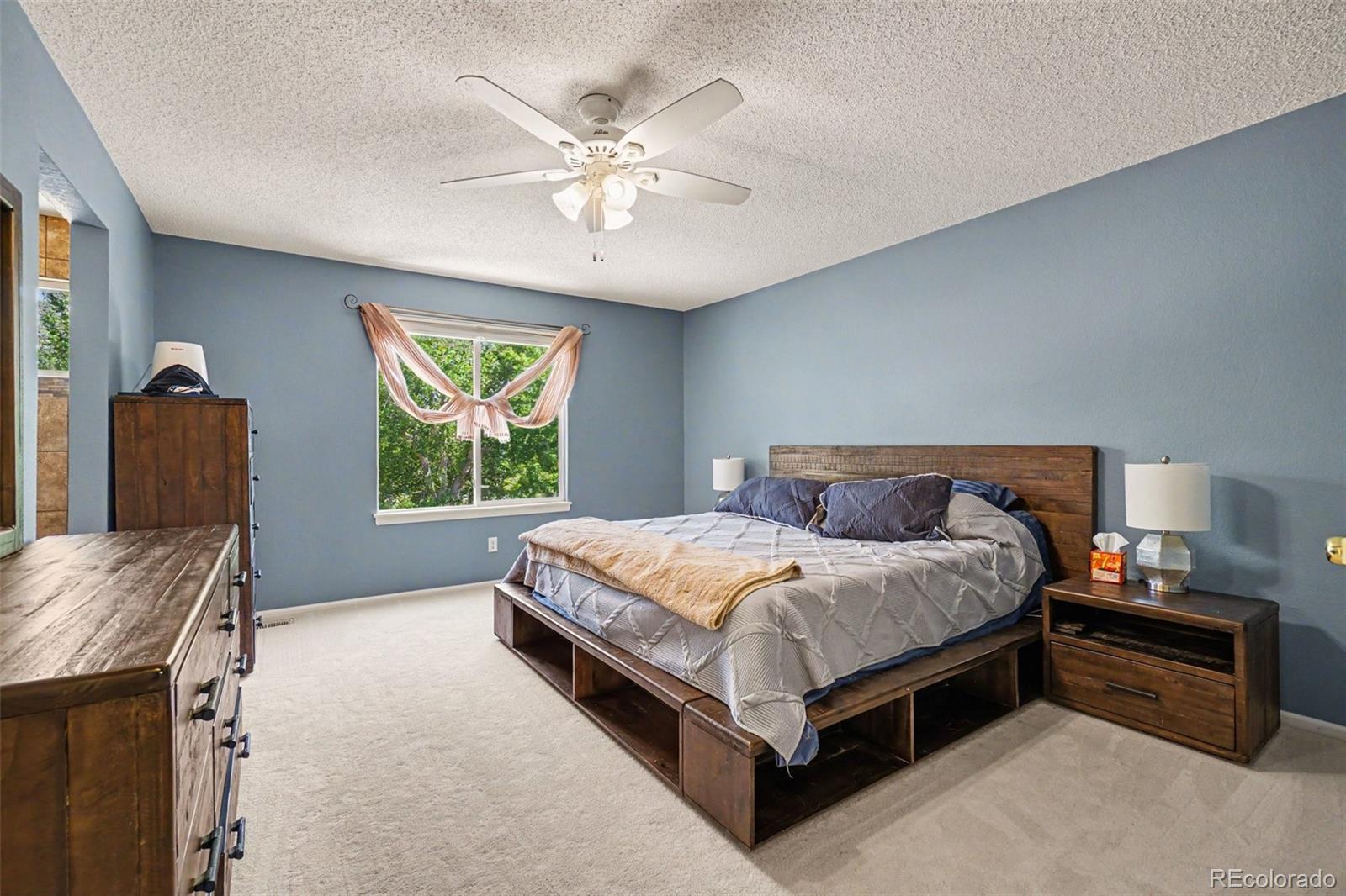 MLS Image #12 for 461  webber court,erie, Colorado