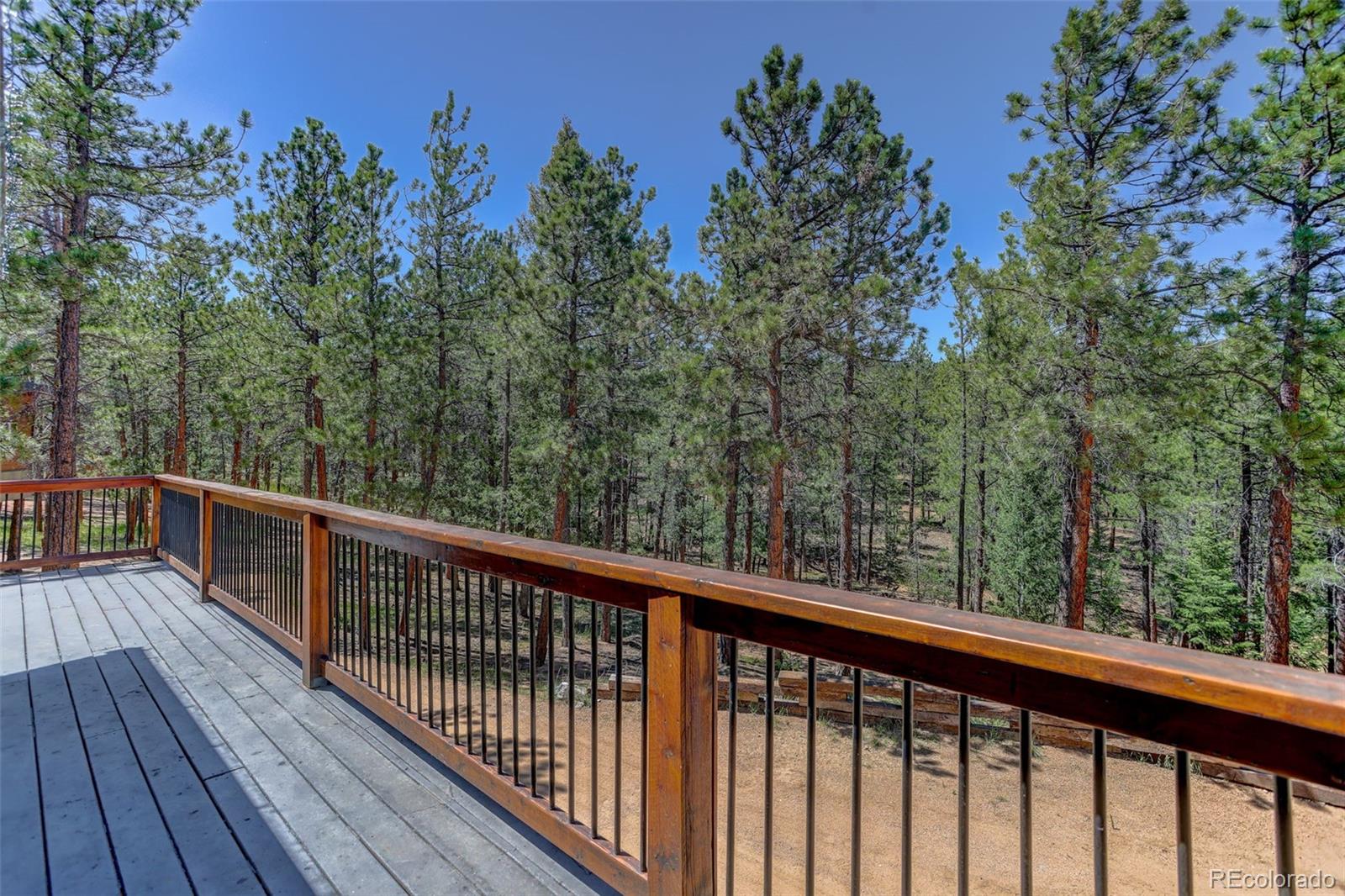 MLS Image #25 for 858  forest drive,bailey, Colorado