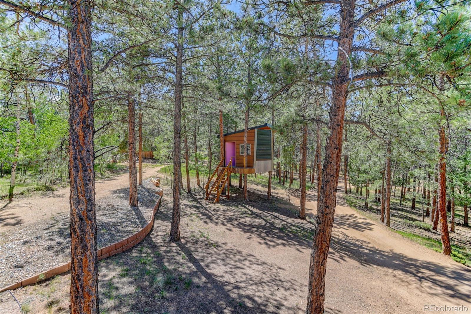 MLS Image #28 for 858  forest drive,bailey, Colorado