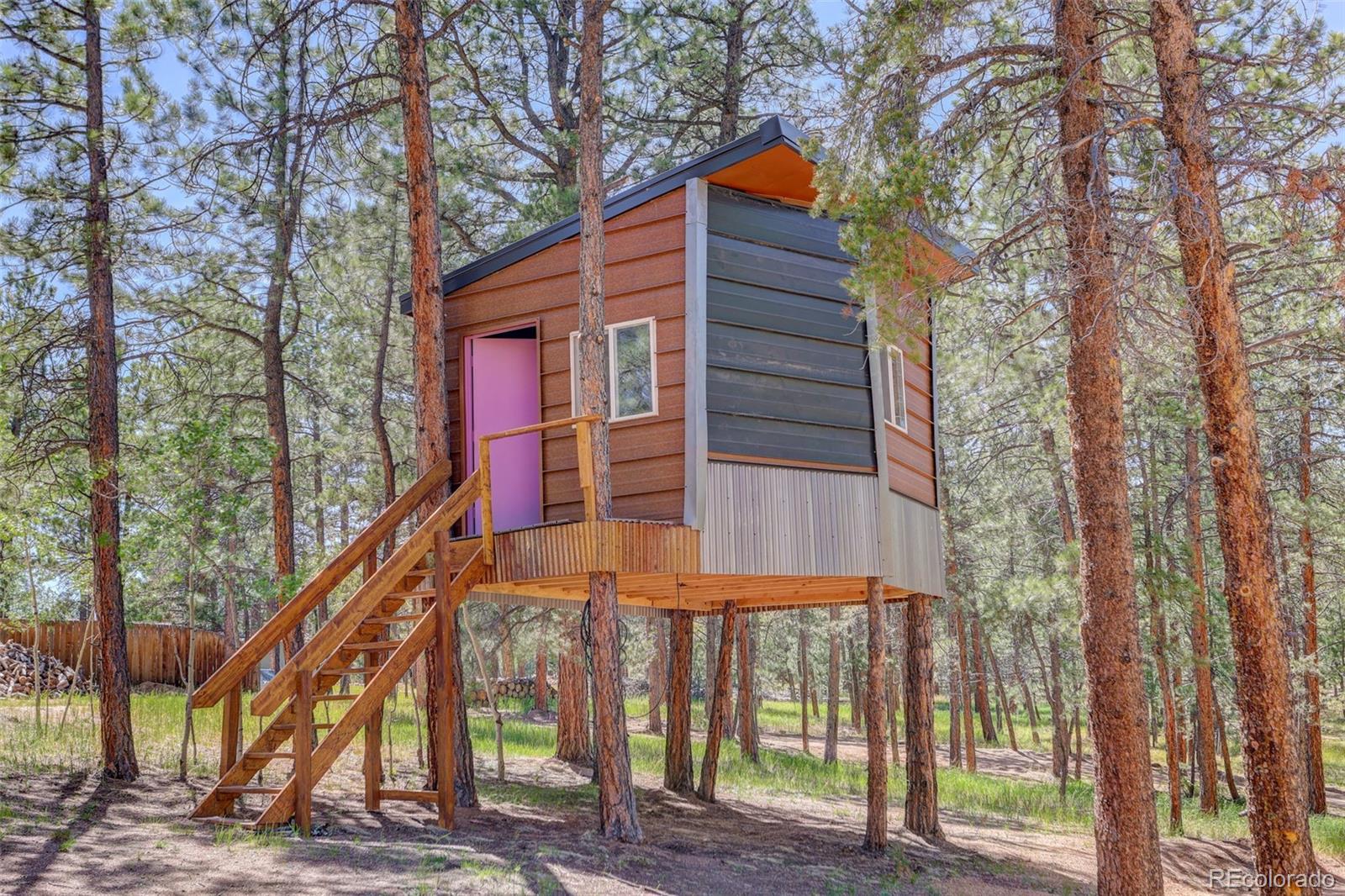 MLS Image #29 for 858  forest drive,bailey, Colorado