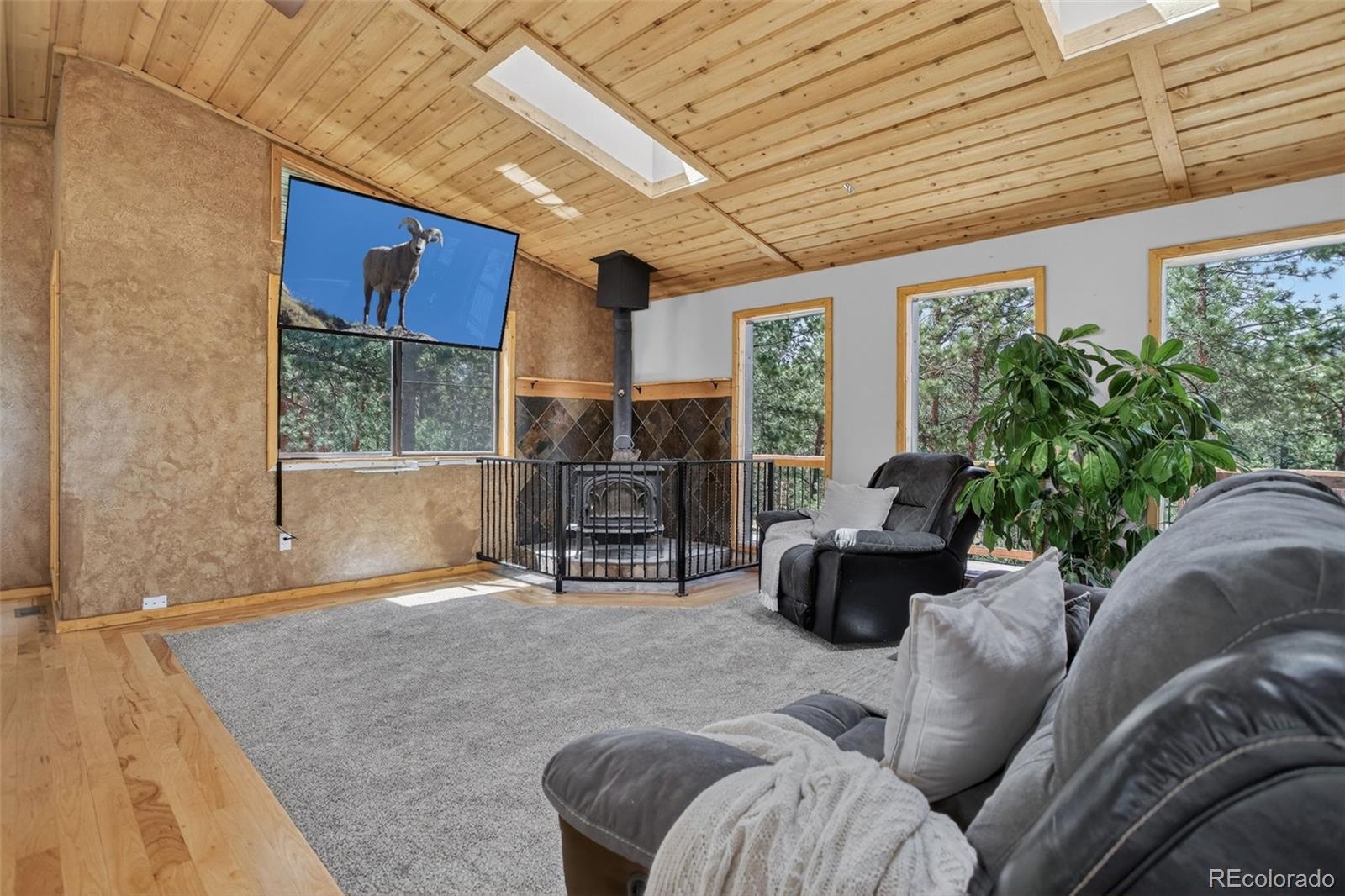 MLS Image #4 for 858  forest drive,bailey, Colorado