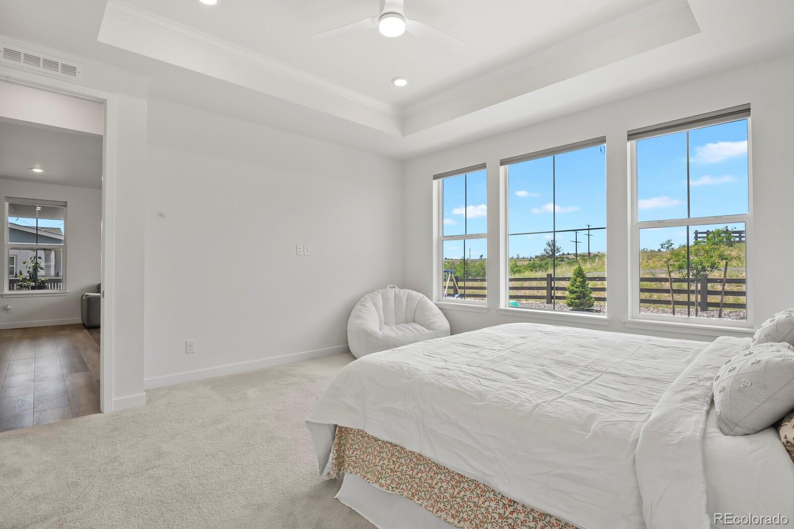 MLS Image #15 for 3428  fellswoop ct ,castle rock, Colorado