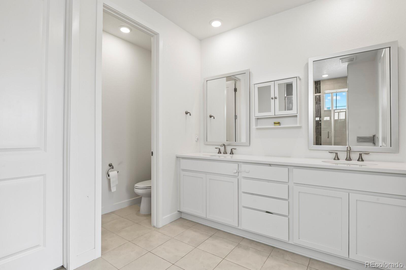 MLS Image #17 for 3428  fellswoop ct ,castle rock, Colorado