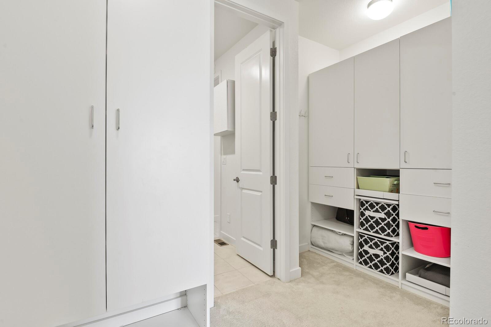 MLS Image #19 for 3428  fellswoop ct ,castle rock, Colorado