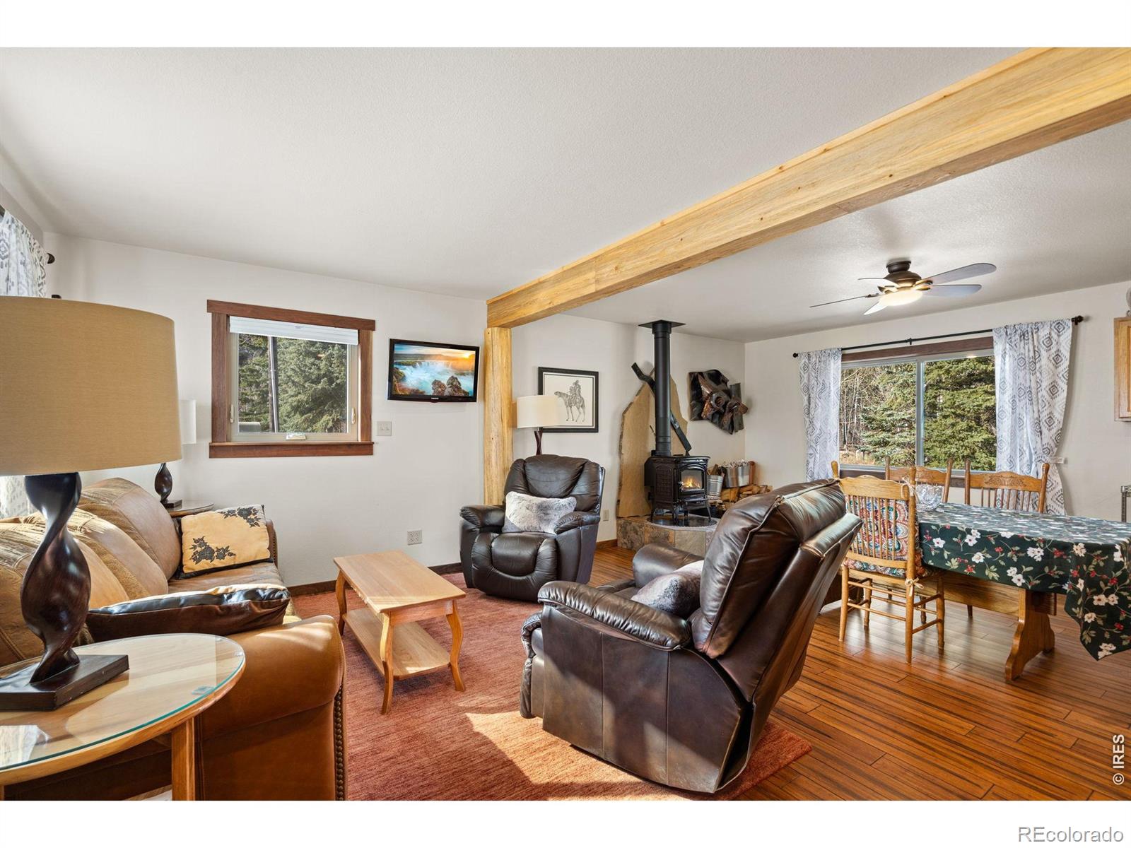 MLS Image #10 for 225  meadow lane,bellvue, Colorado