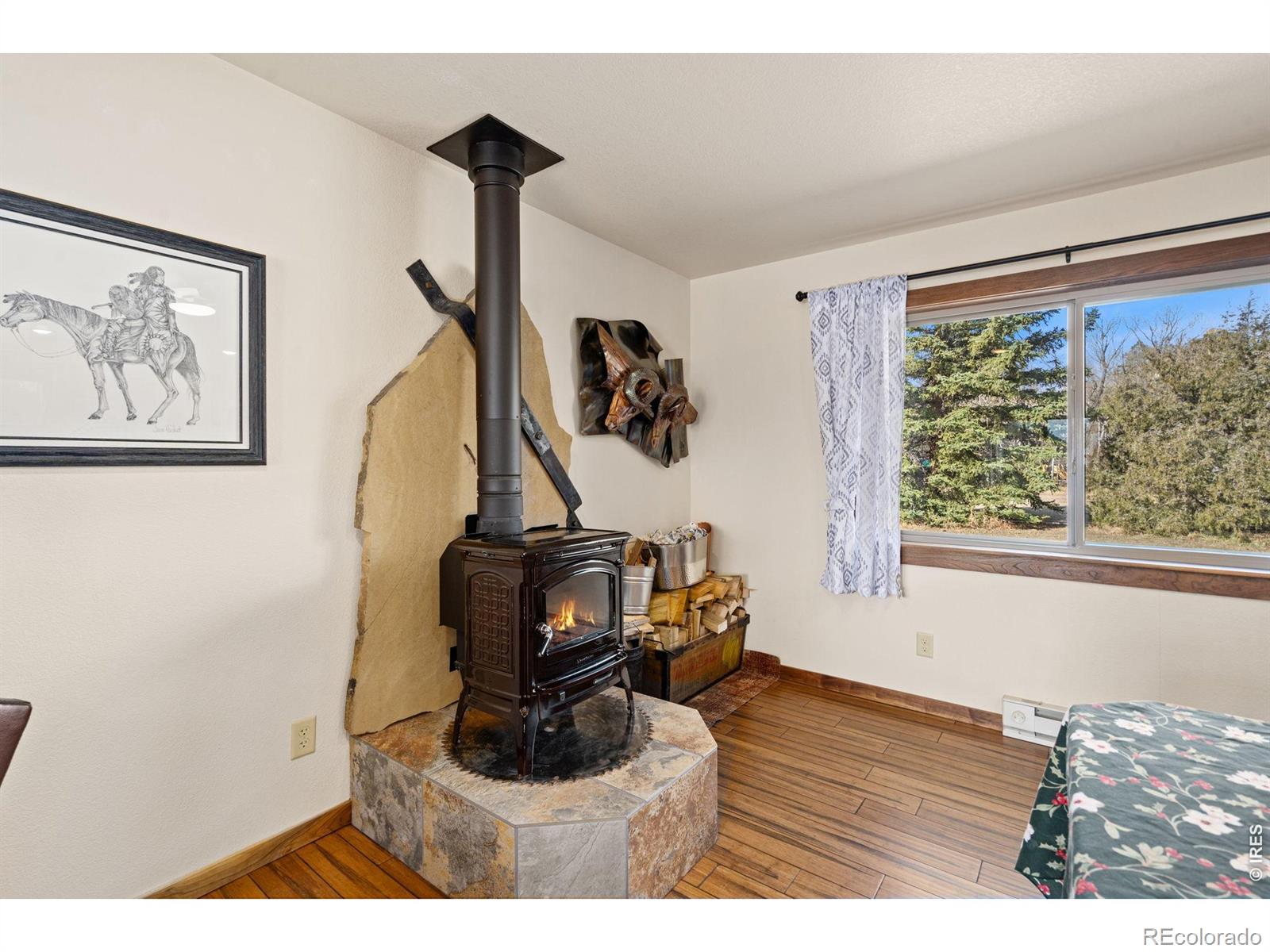 MLS Image #11 for 225  meadow lane,bellvue, Colorado