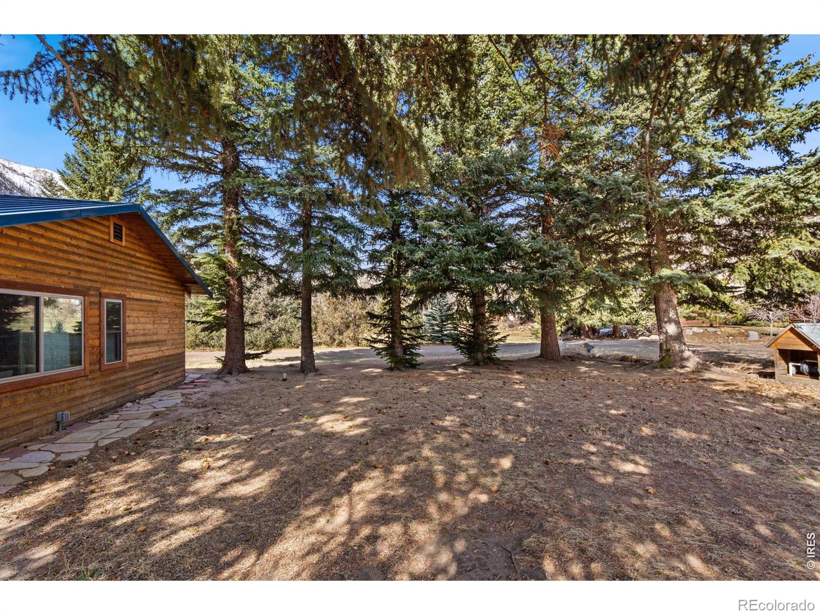 MLS Image #4 for 225  meadow lane,bellvue, Colorado