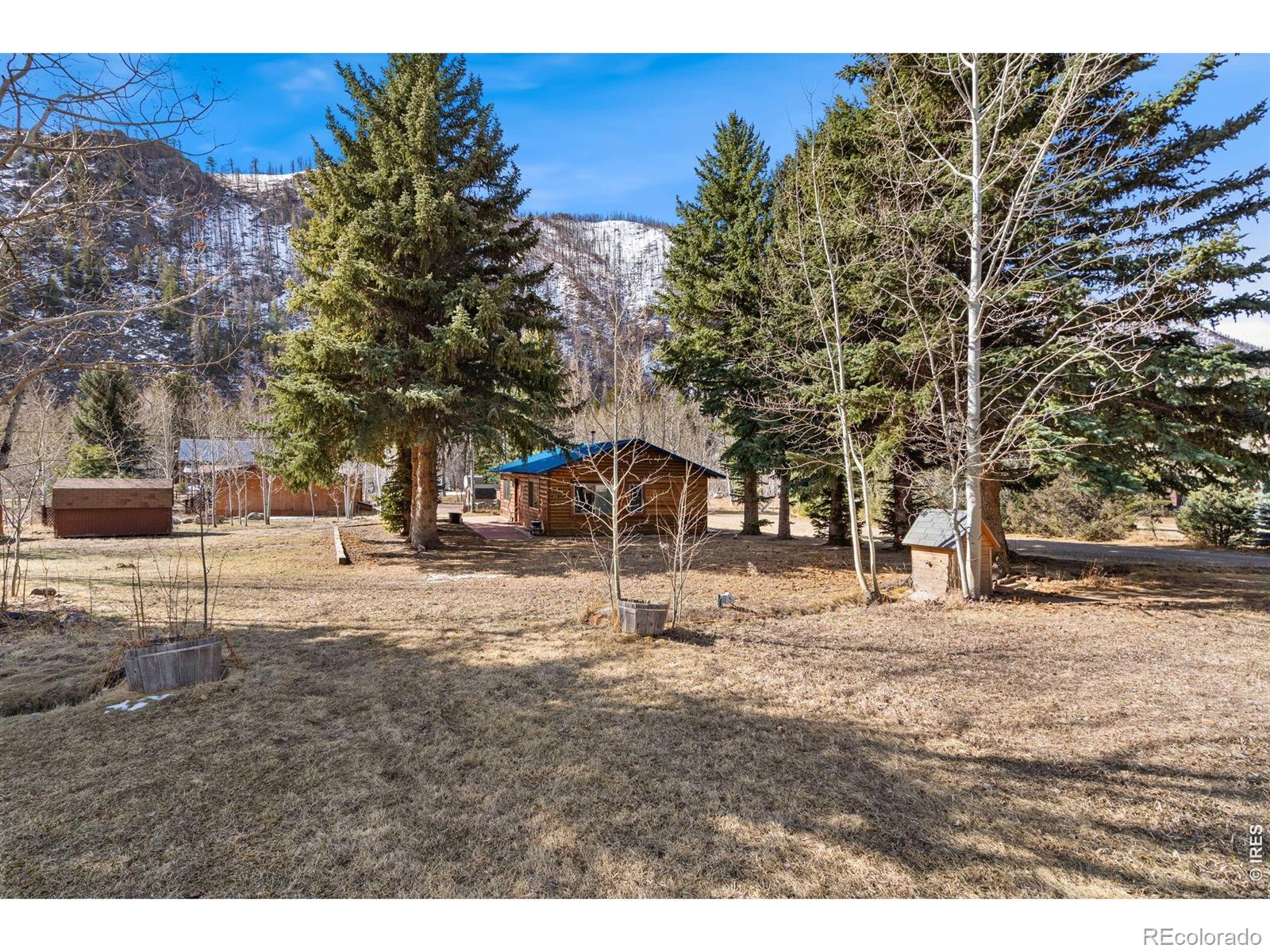 MLS Image #5 for 225  meadow lane,bellvue, Colorado