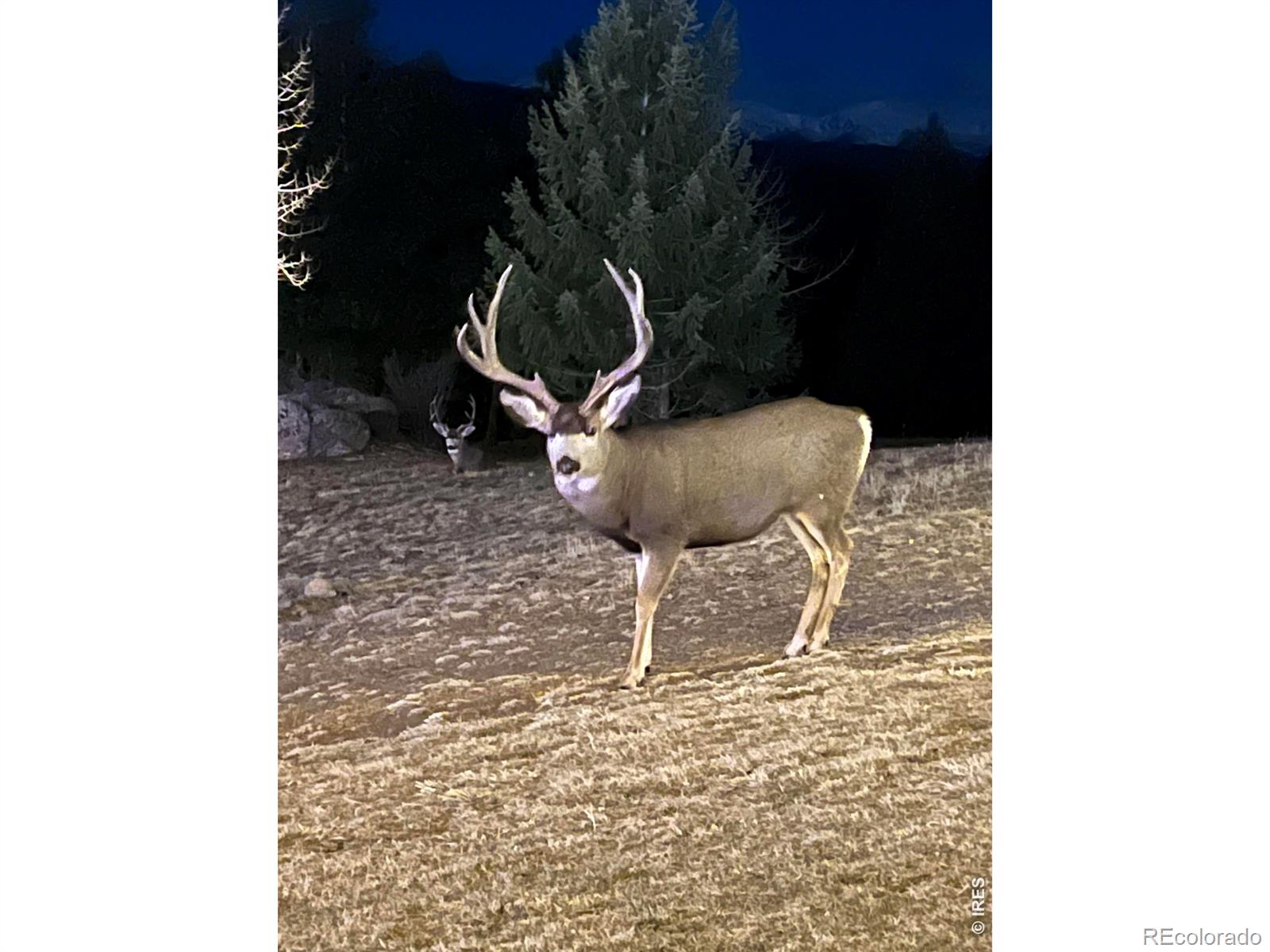 MLS Image #49 for 6917  timbers drive,evergreen, Colorado
