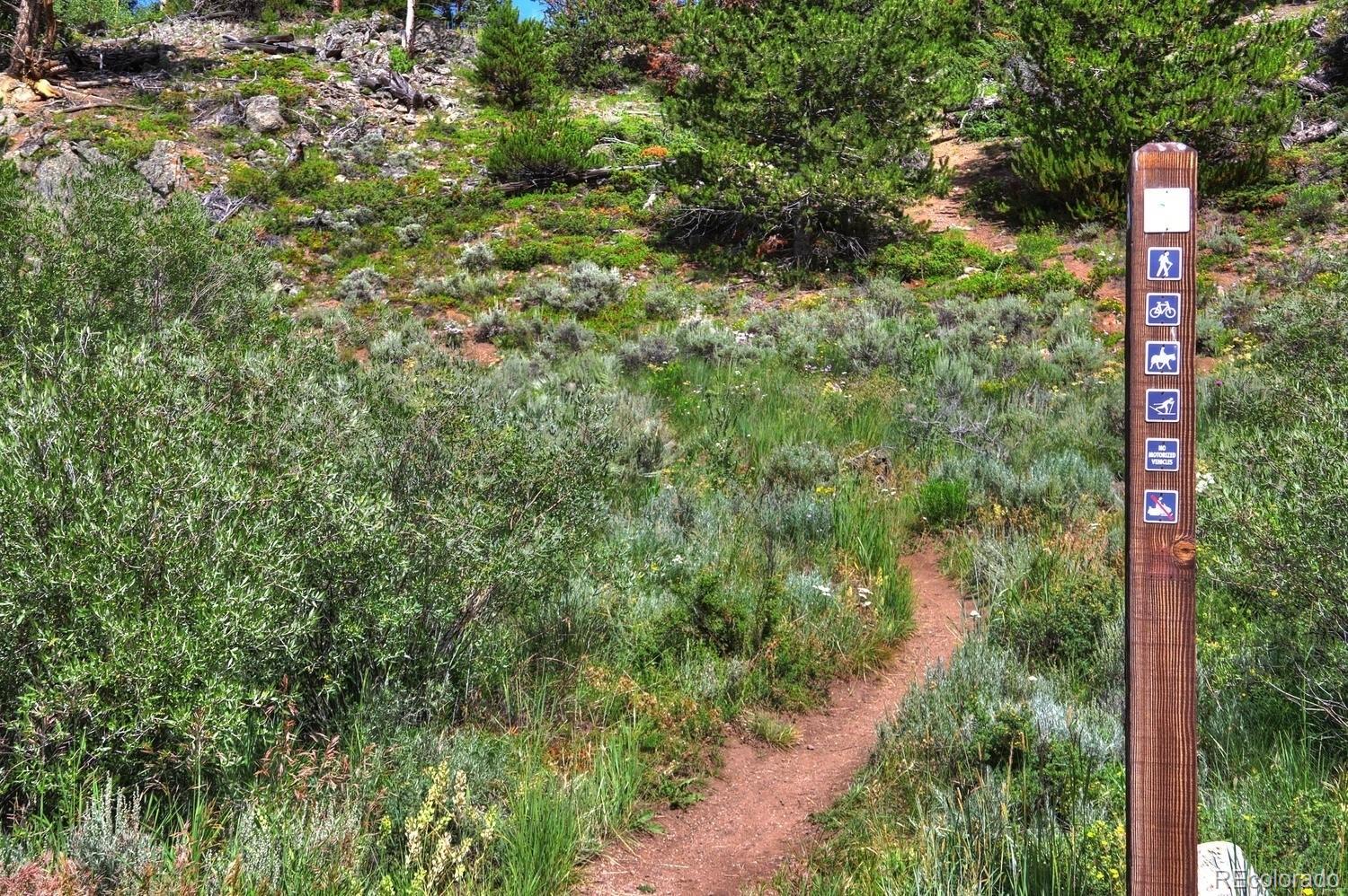 MLS Image #43 for 85  revett drive,breckenridge, Colorado