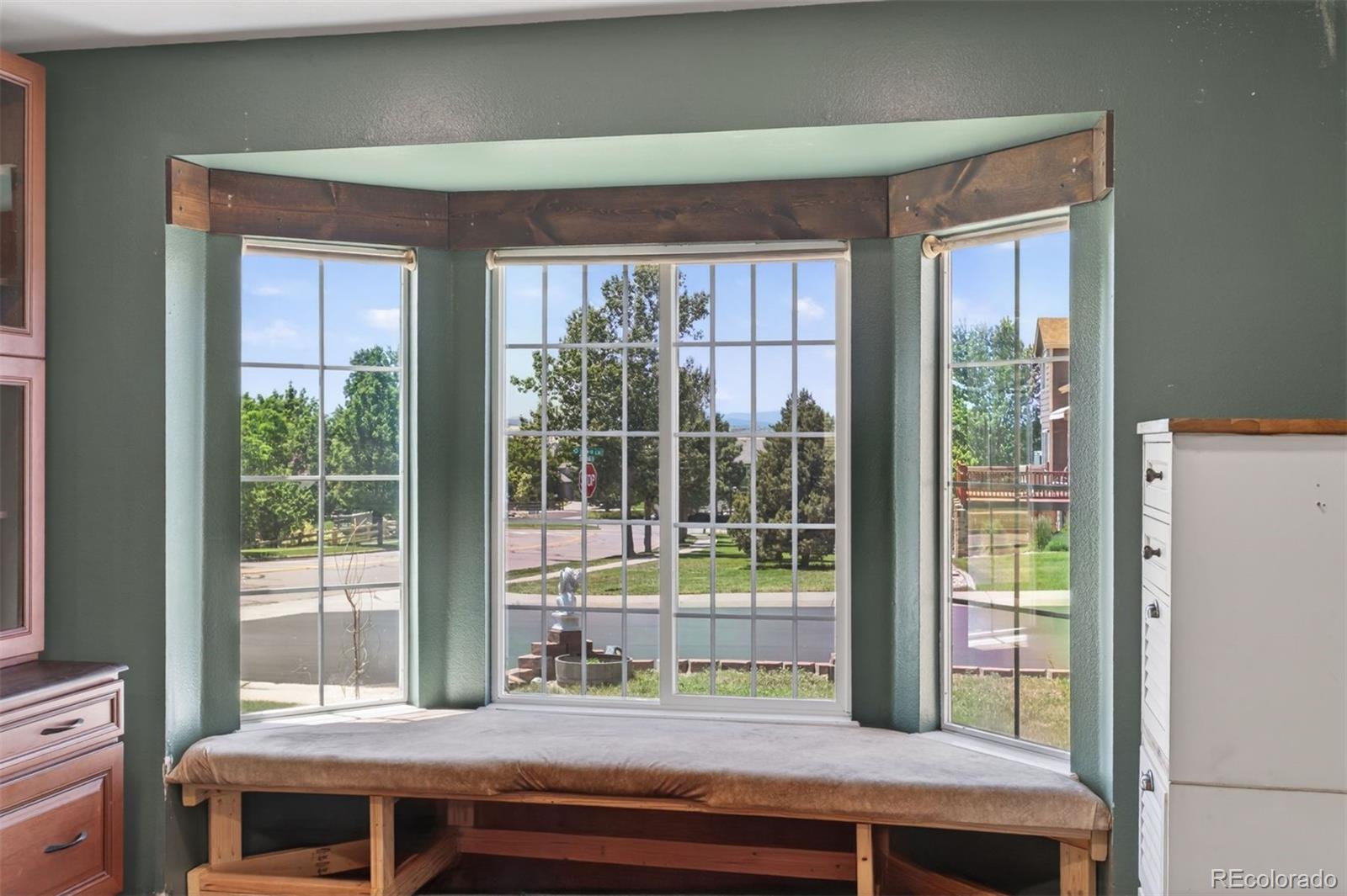 MLS Image #16 for 11672  laurel lane,parker, Colorado