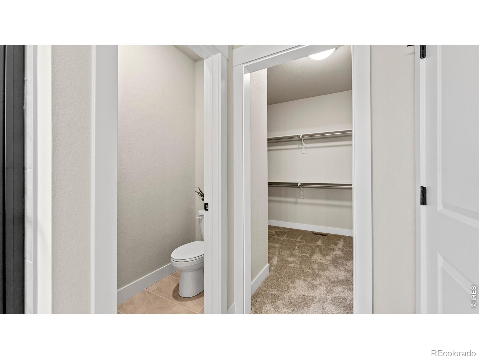 MLS Image #10 for 6226  vernazza way,windsor, Colorado